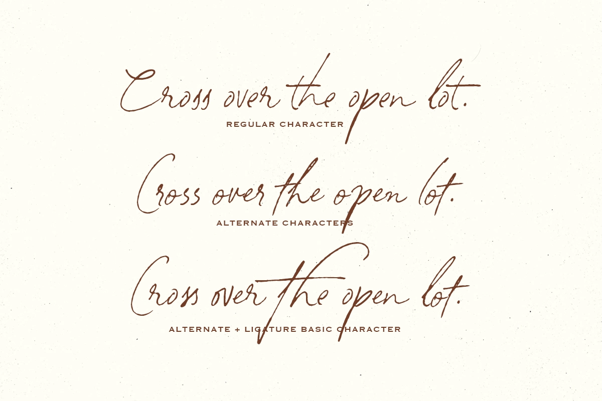 South Assign - Vintage Inspired Font