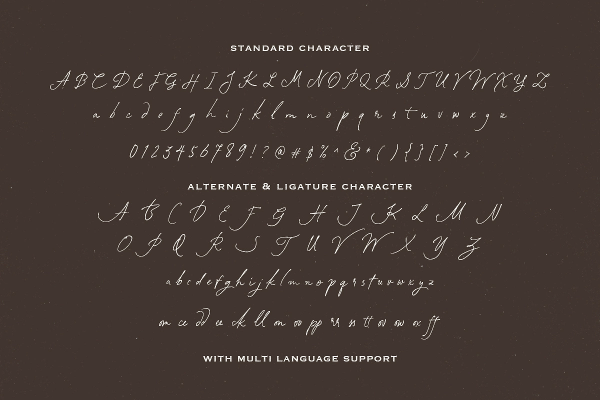 South Assign - Vintage Inspired Font