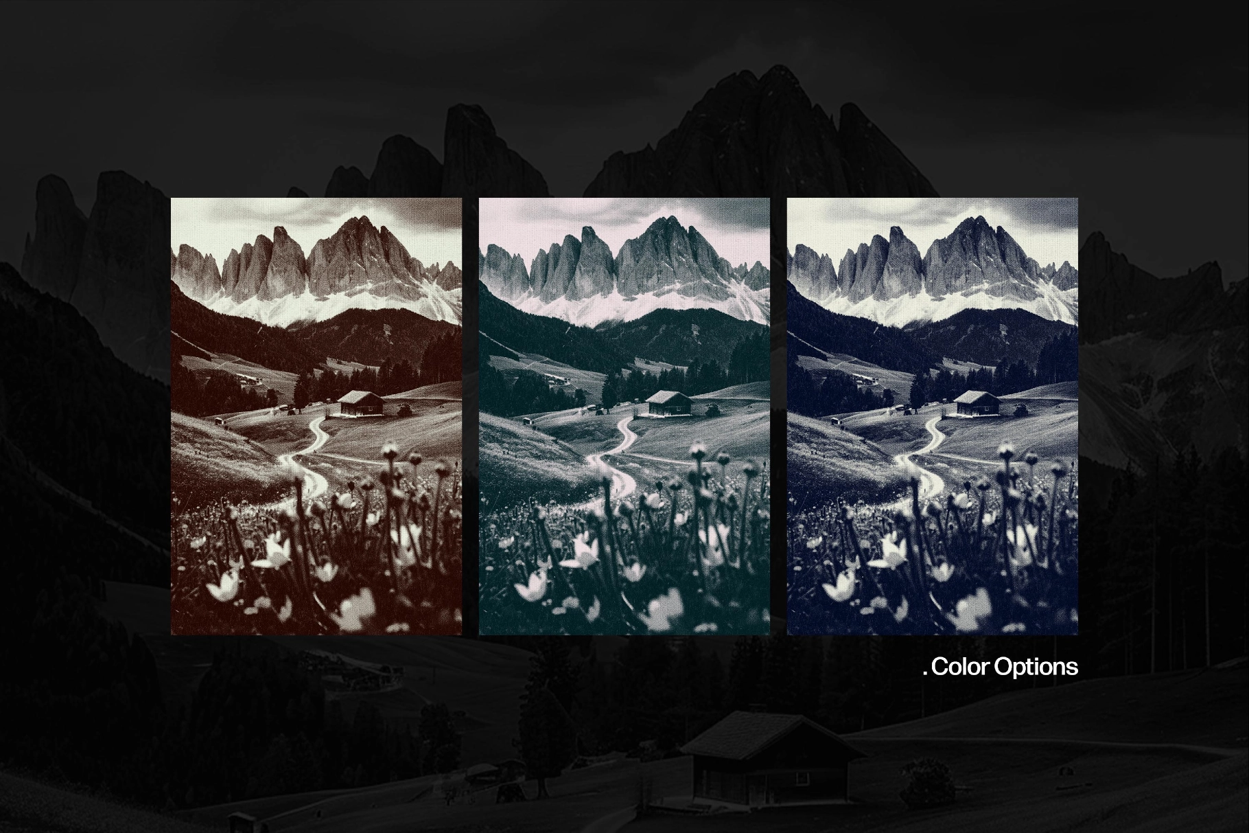 Dotted Canvas Effect