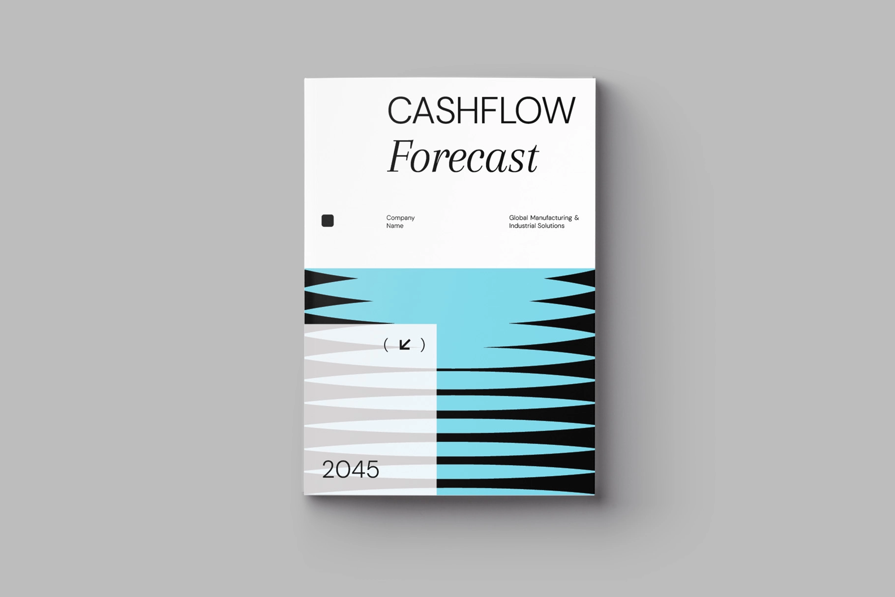 Cashflow Forecast Template InDesign