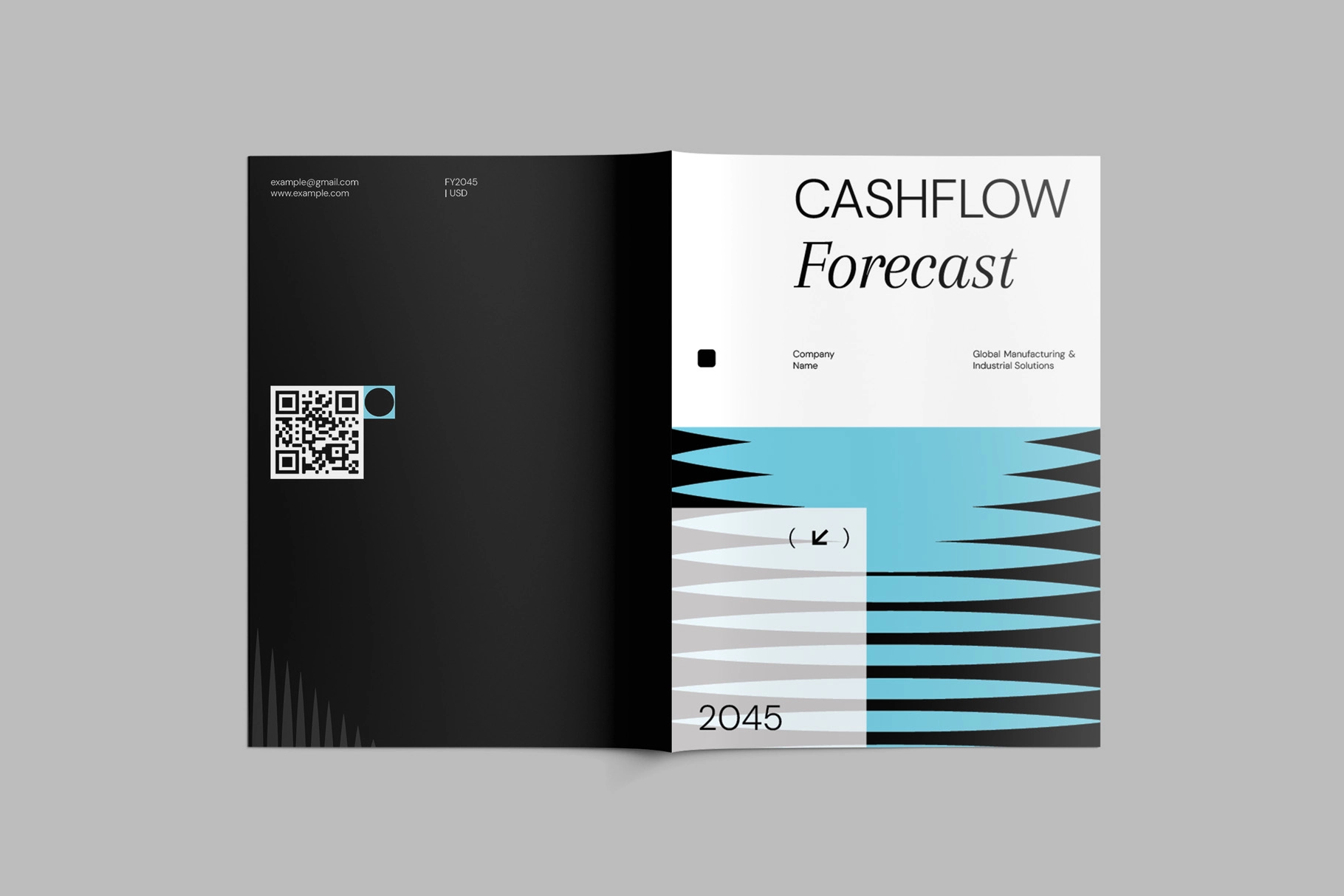 Cashflow Forecast Template InDesign