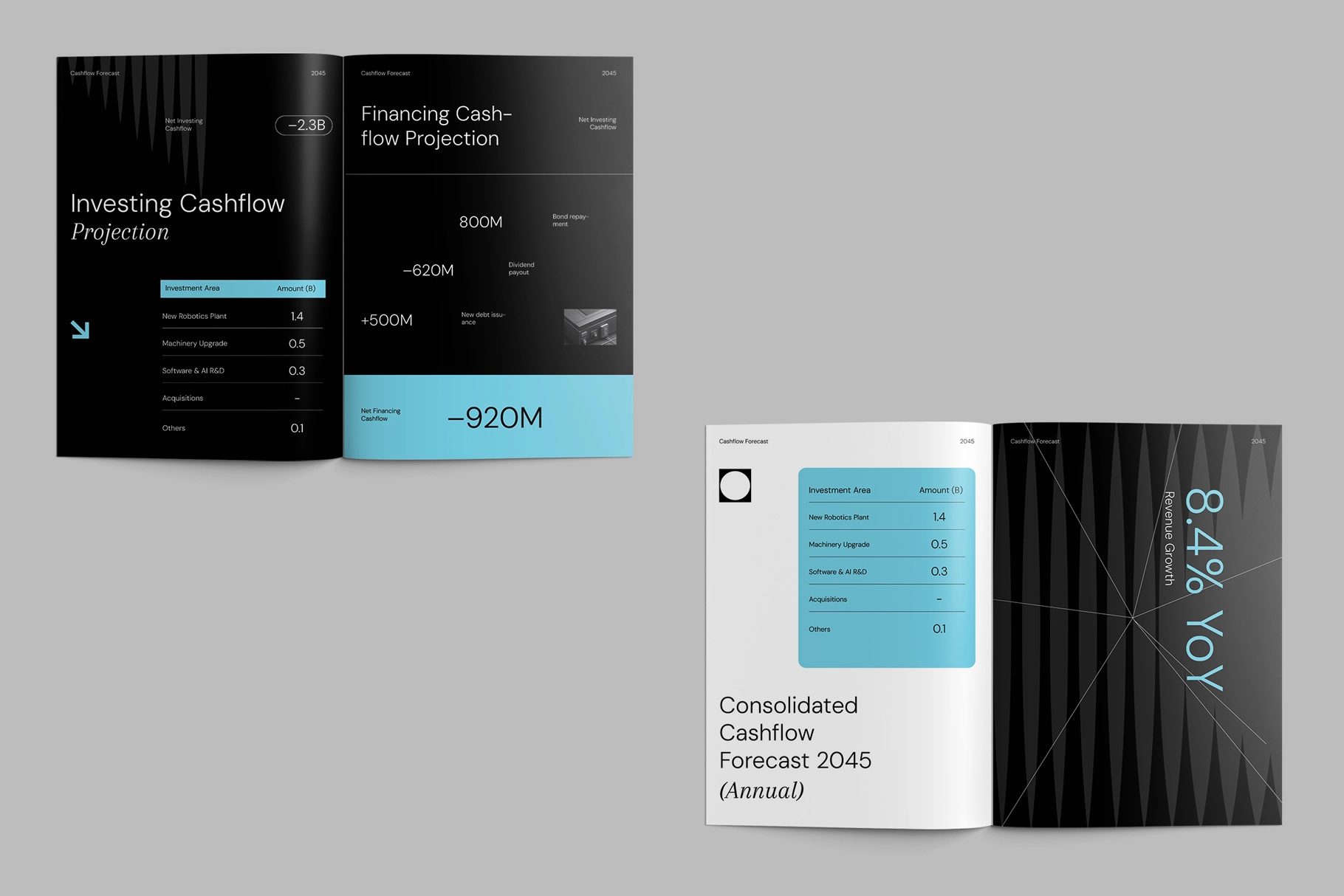 Cashflow Forecast Template InDesign