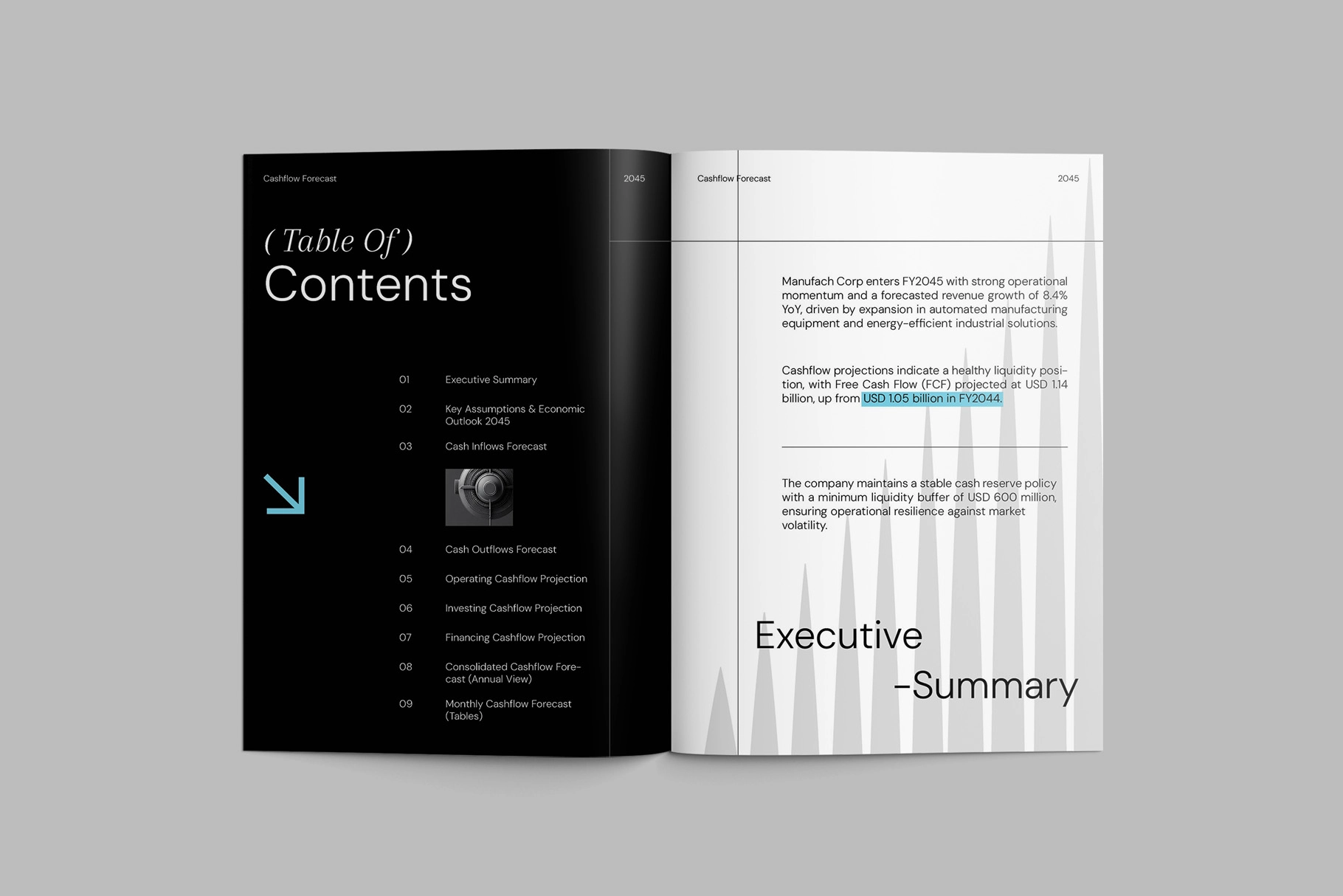 CANVA - Modern Geometric Cashflow Forecast Report