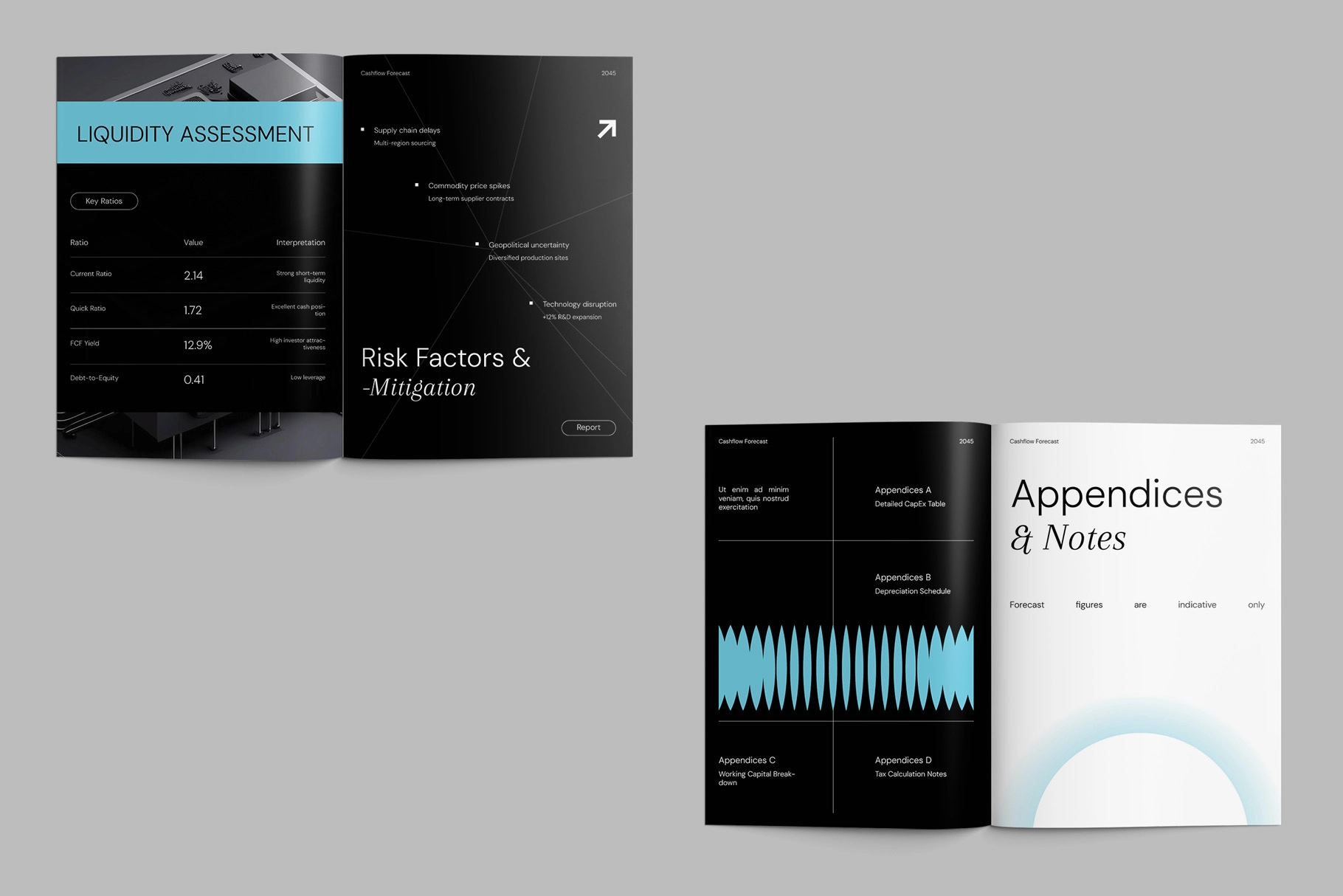 CANVA - Modern Geometric Cashflow Forecast Report