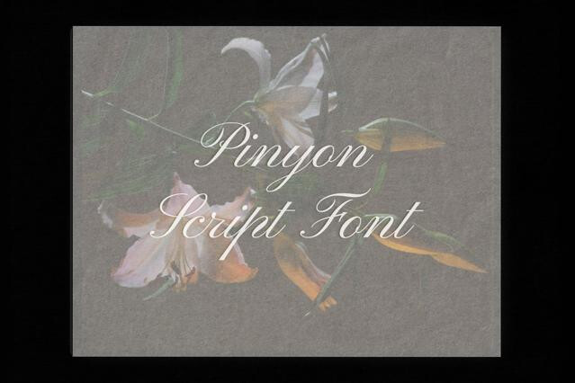 Pinyon Script Font