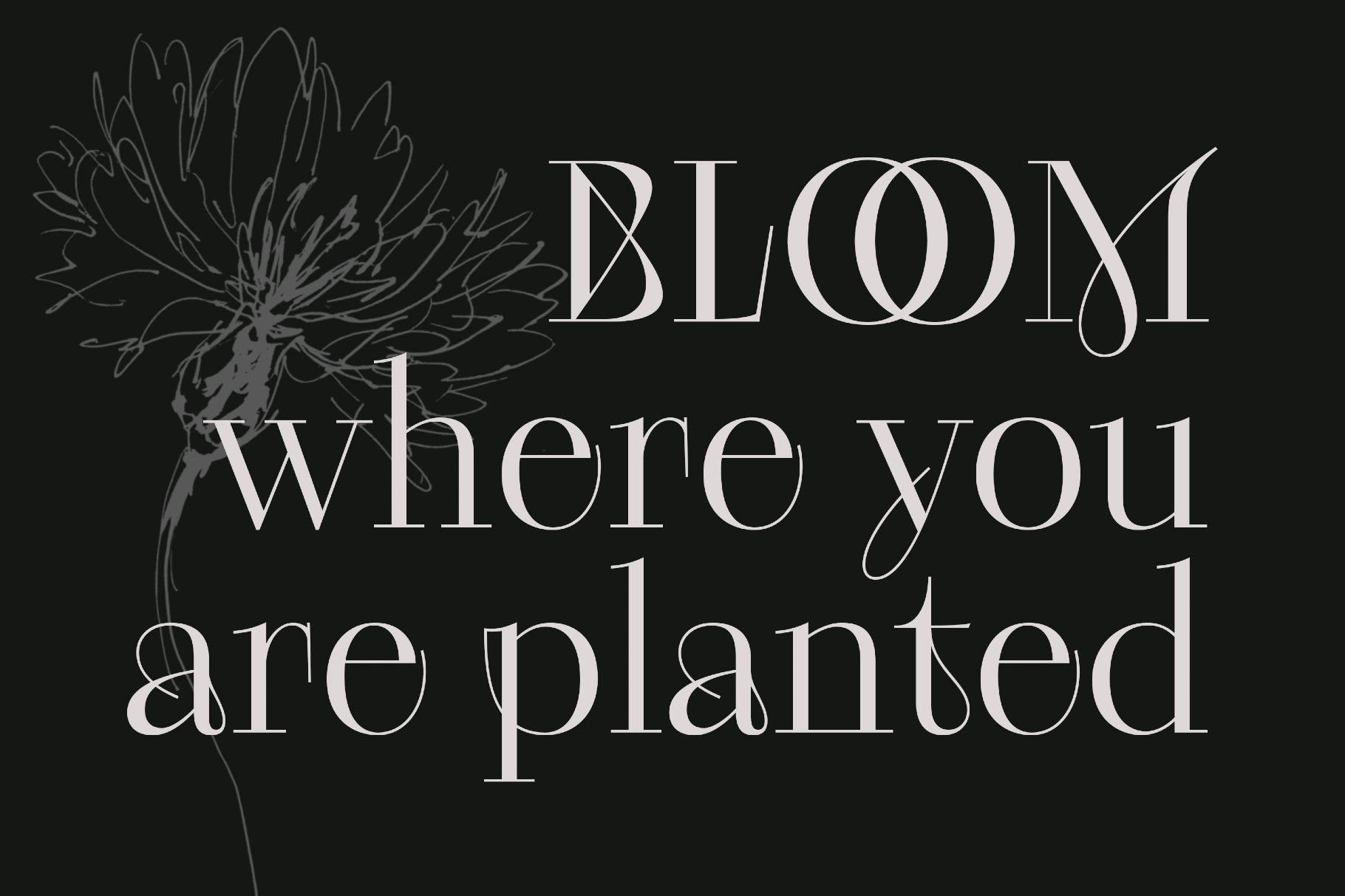 Kudri Weird Headline Font