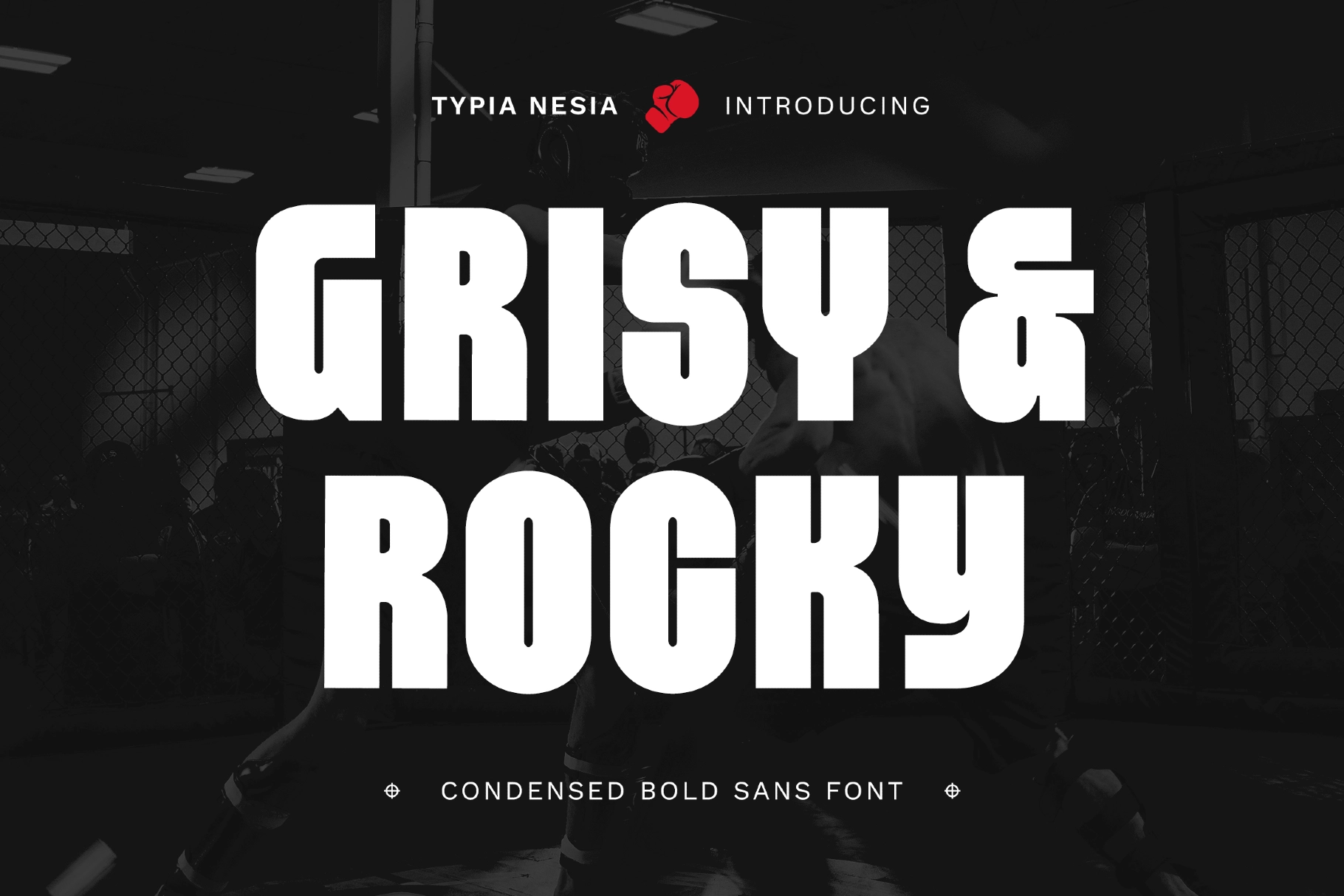 Grisy & Rocky - Condensesd Bold Sans Font