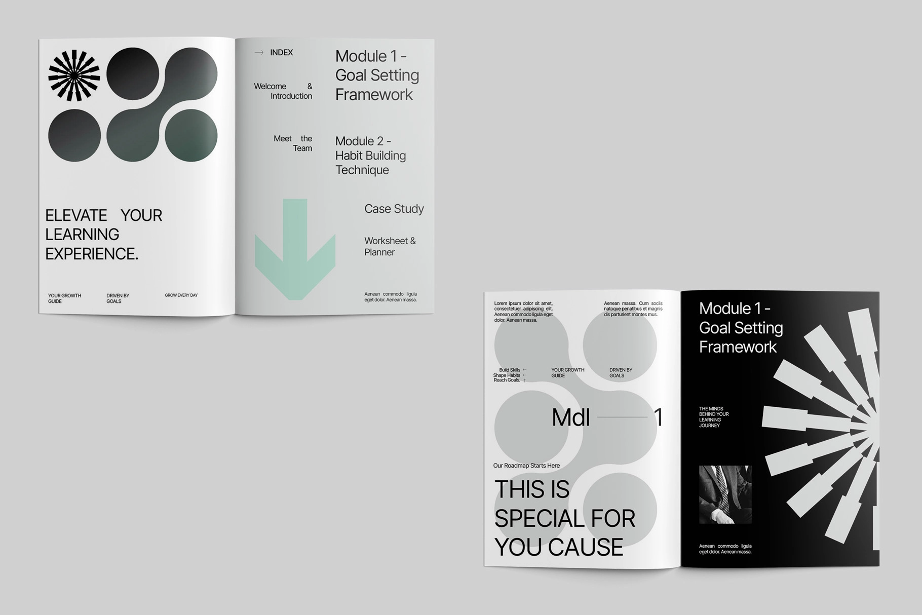 Creative Course Workbook for Affinity Template