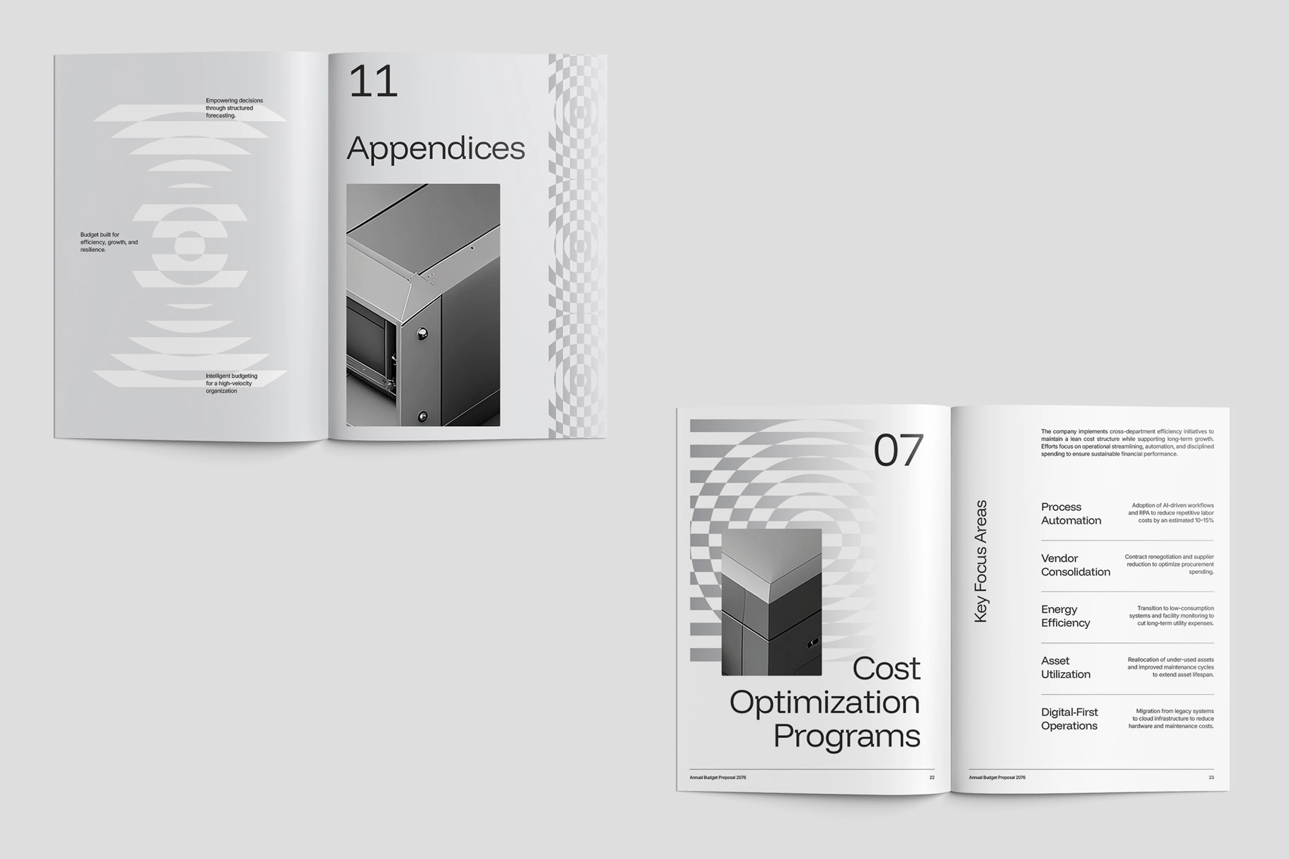 Annual Budget Financial Template InDesign - Votto