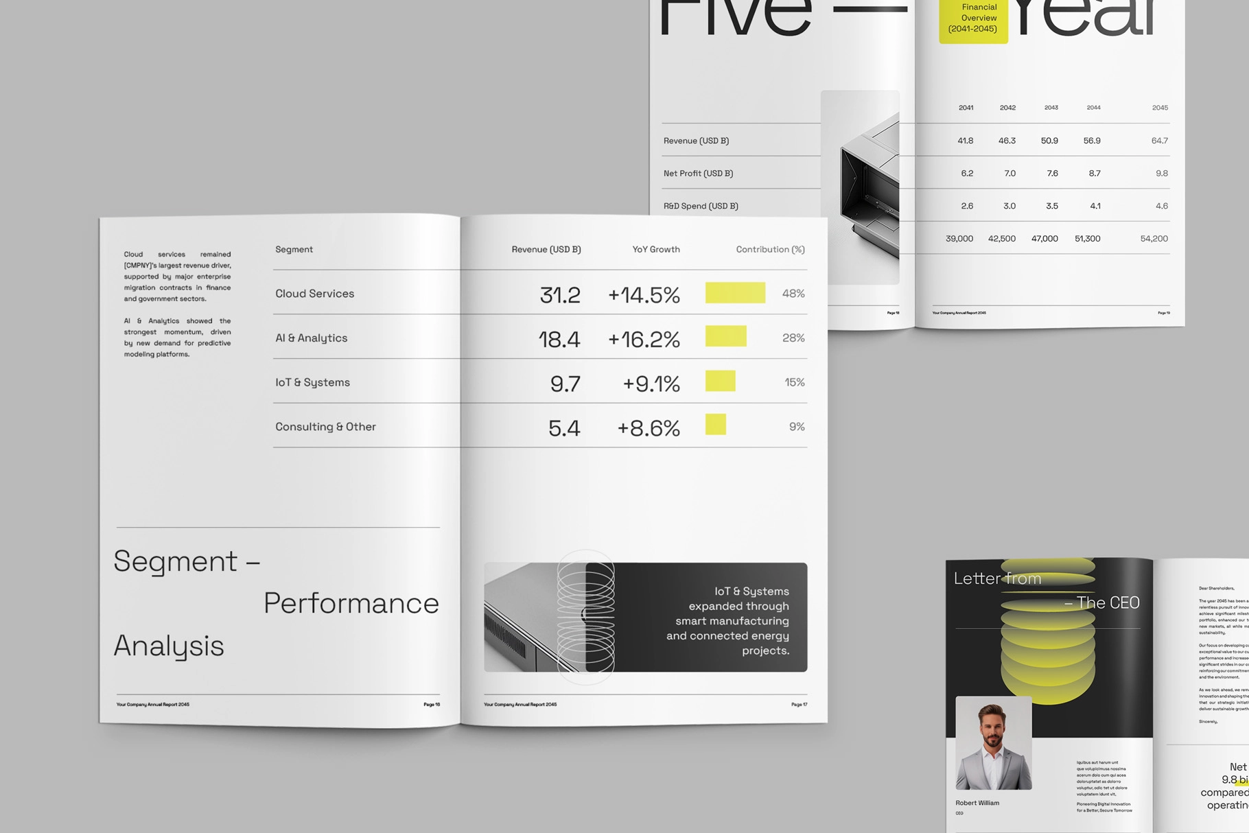 Minimalist Annual Report InDesign Template