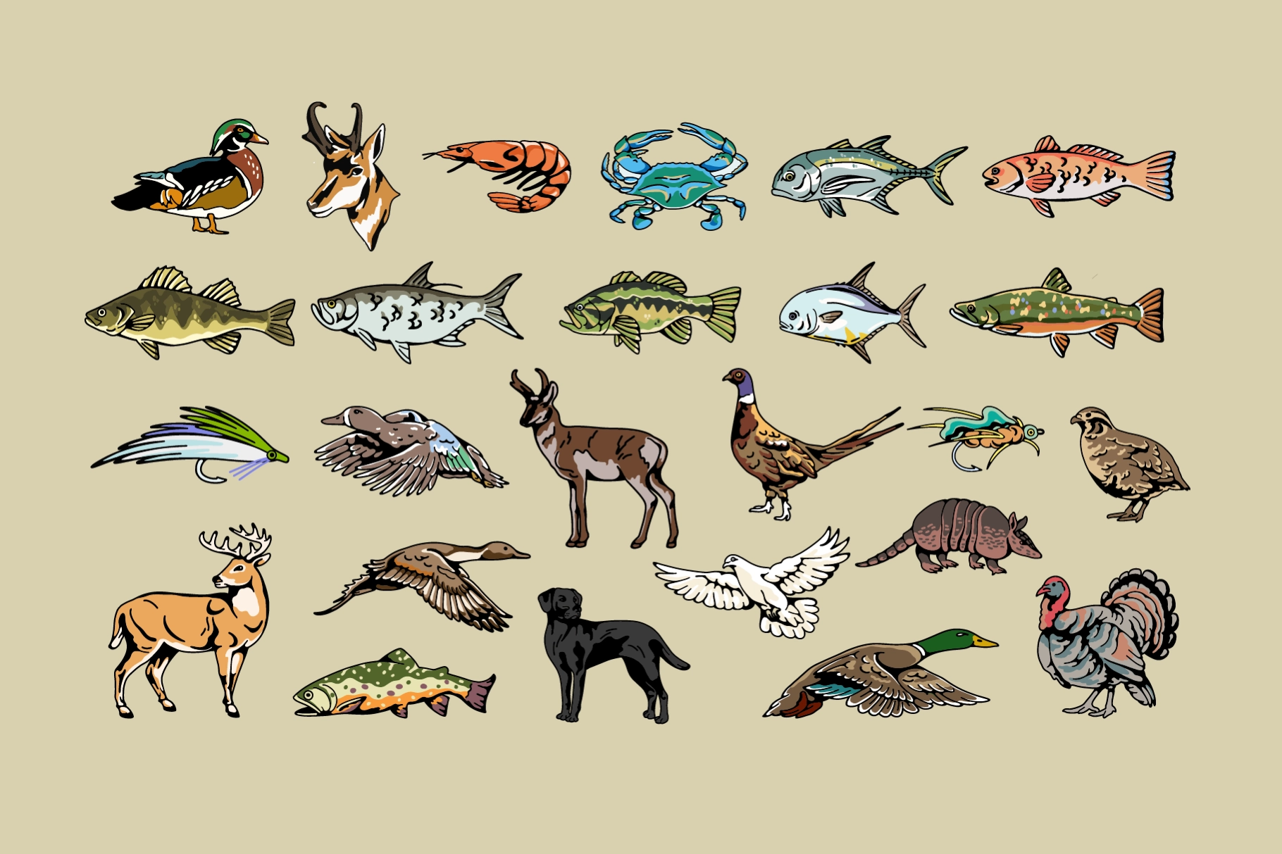 Hunting Fishing Animal Illustration