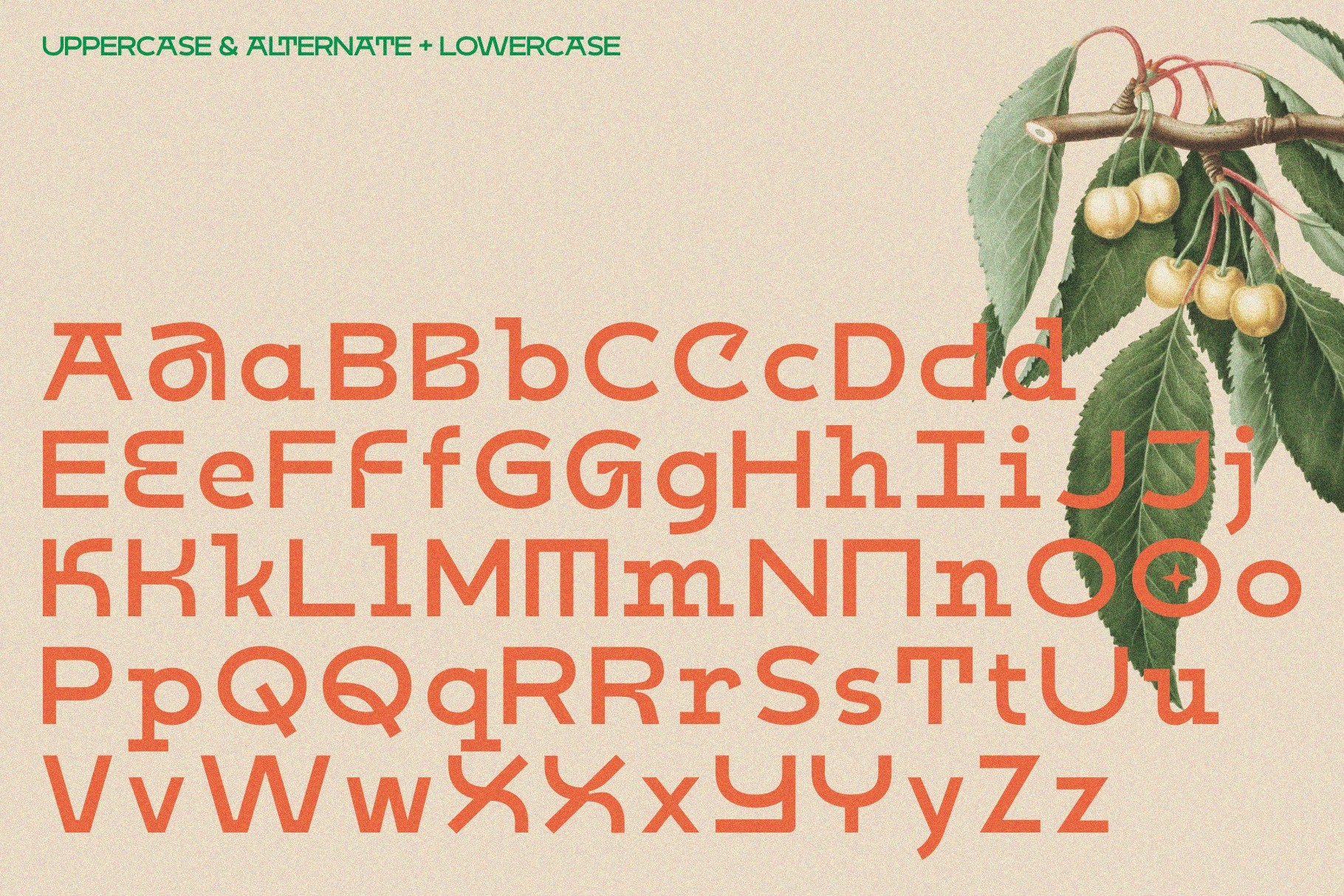 Kabog - Modern Classic Display Font