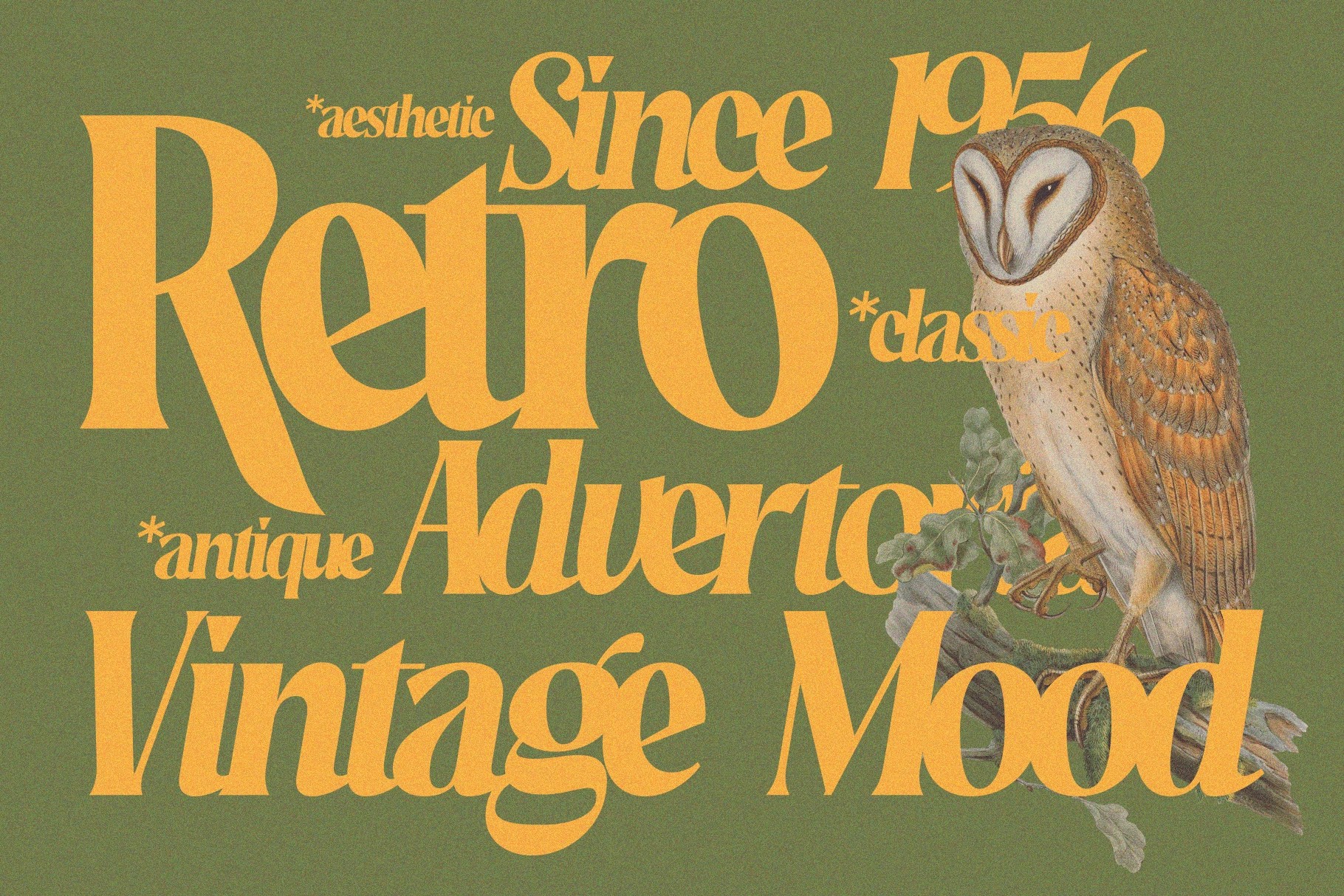 Rakizen Bisrony - Vintage Elegant Serif Font