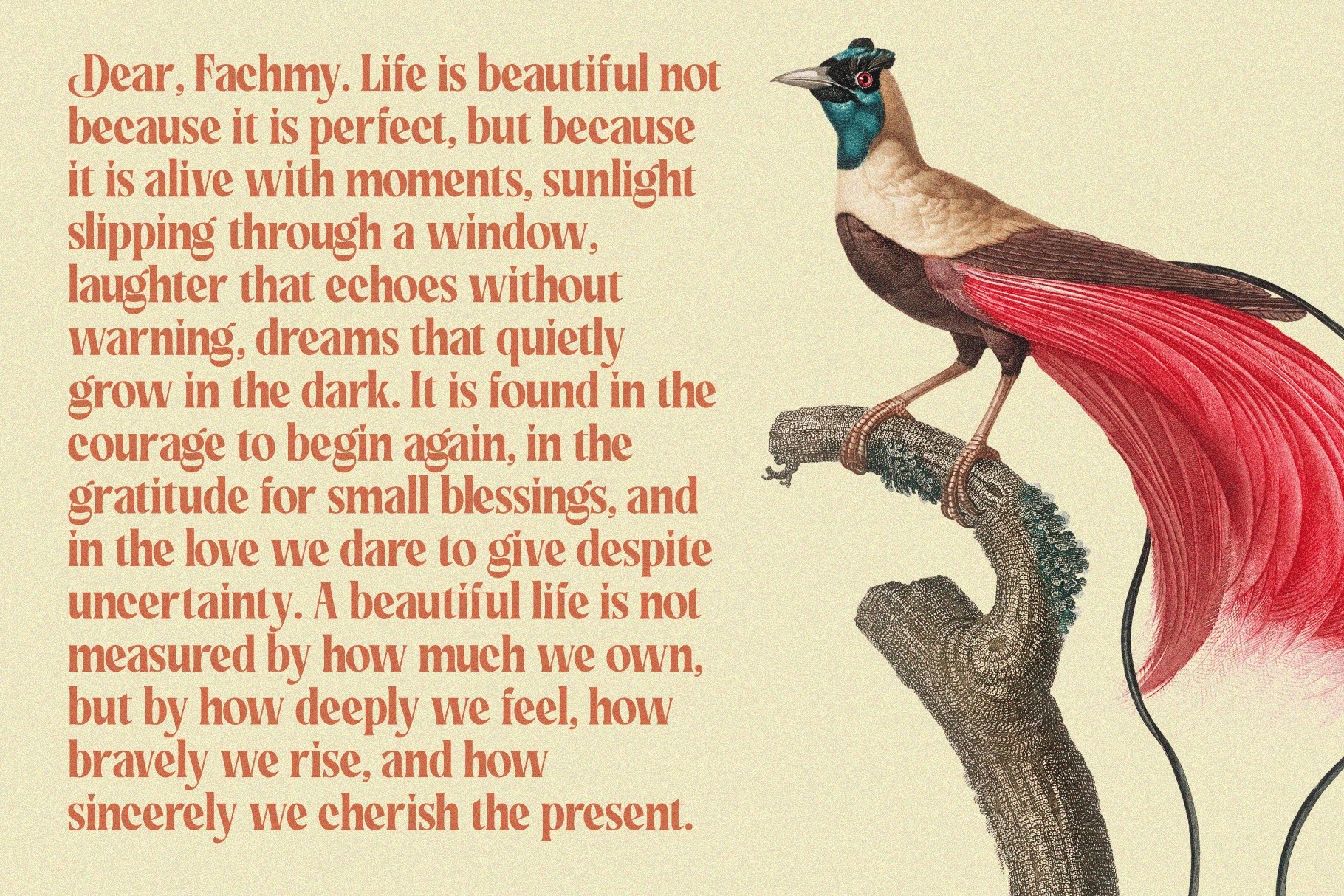 Rakizen Bisrony - Vintage Elegant Serif Font