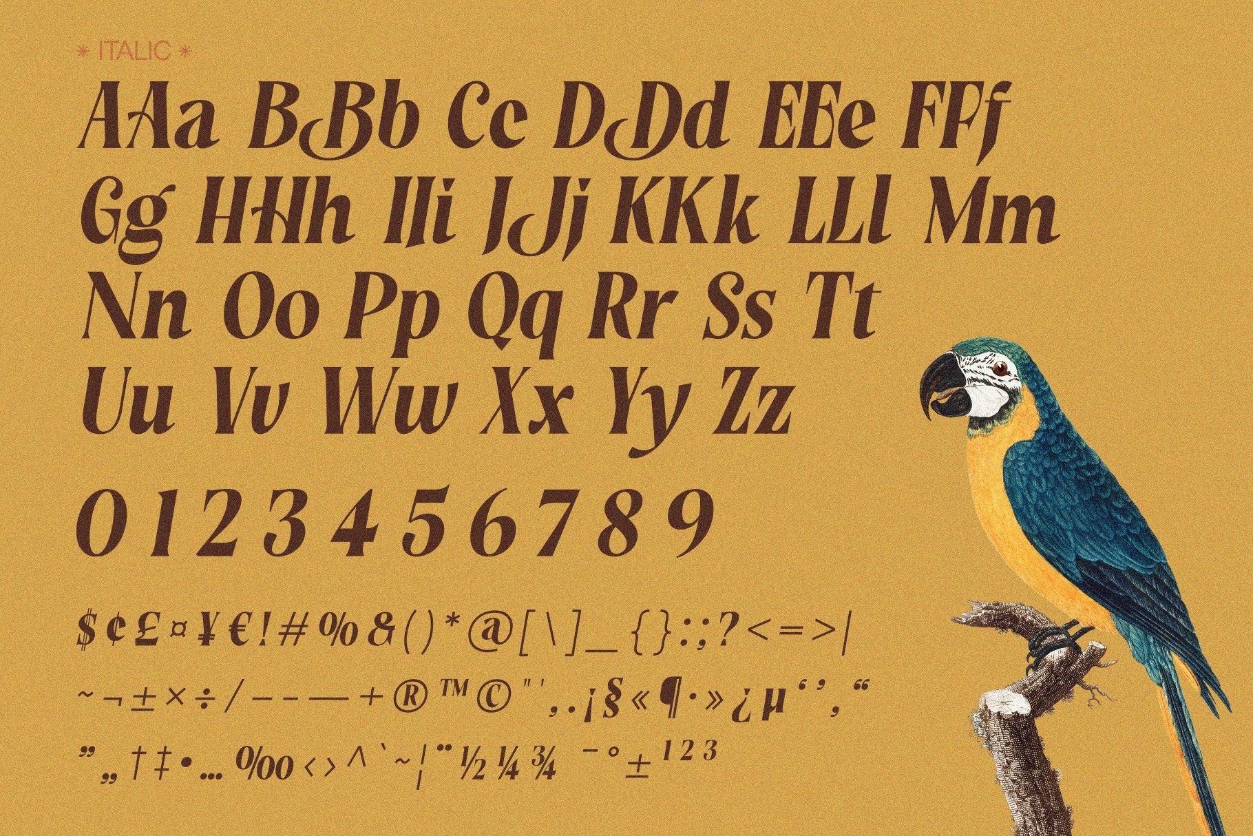 Rakizen Bisrony - Vintage Elegant Serif Font