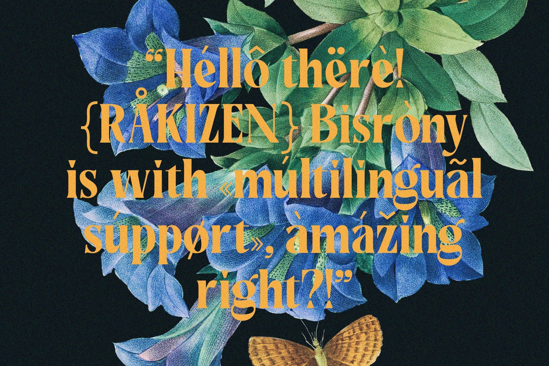 Rakizen Bisrony - Vintage Elegant Serif Font