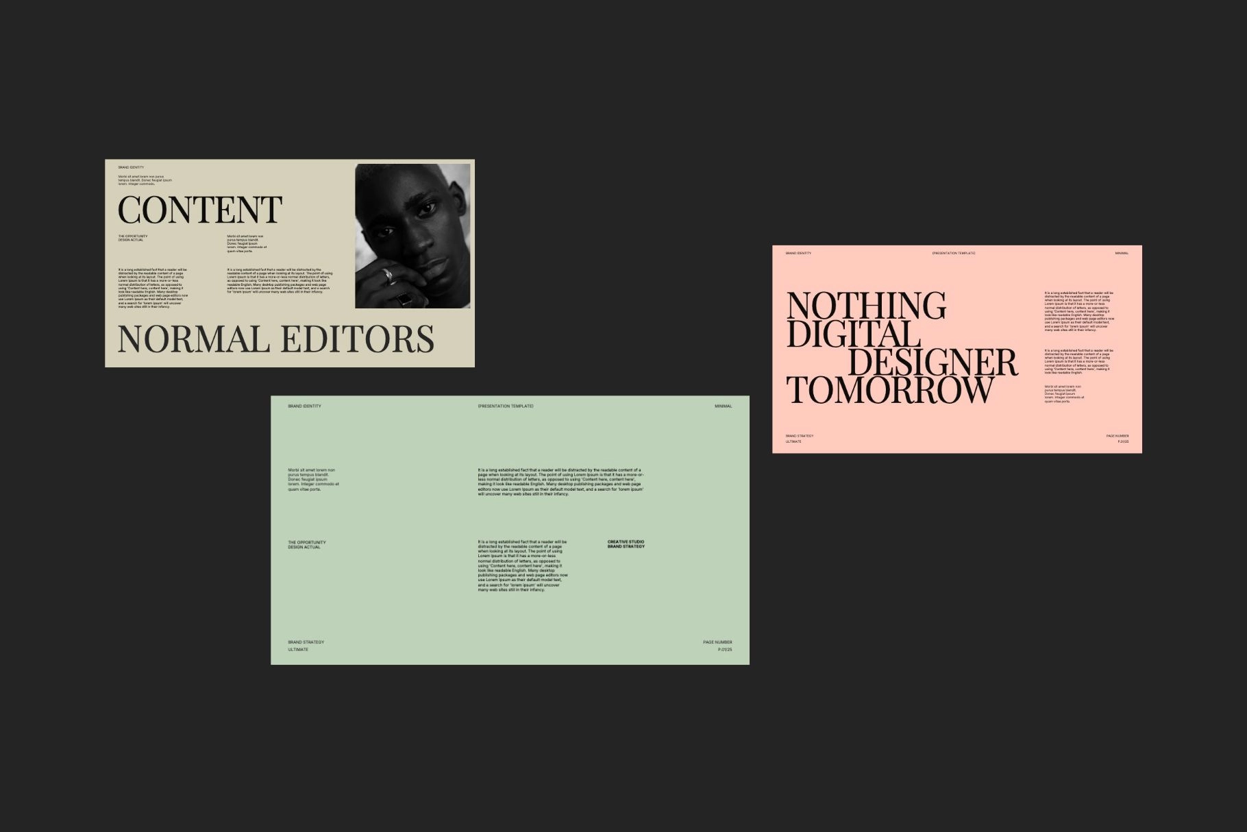 CANVA - Roberto Brand Strategy Template