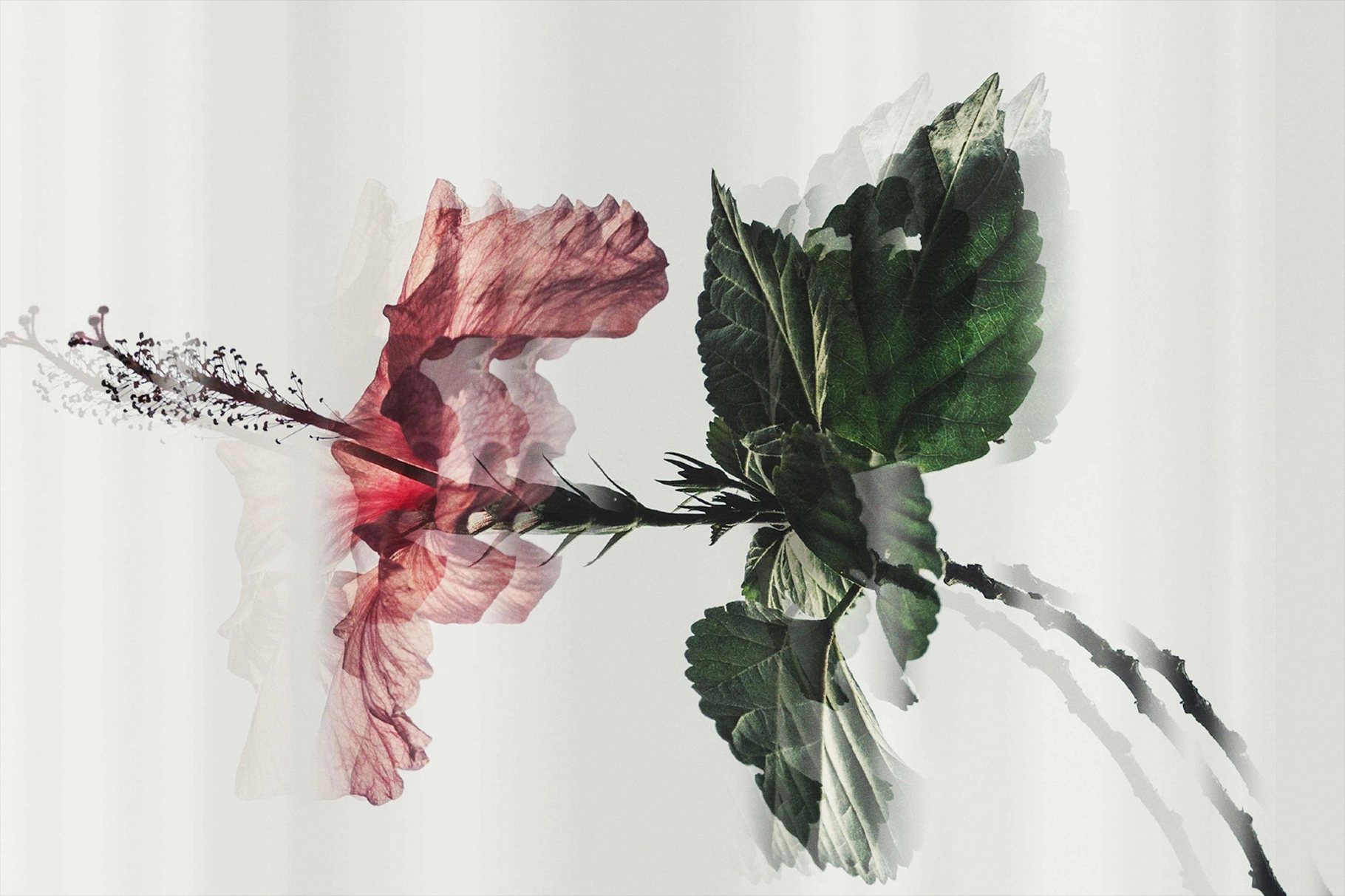 Fractal Mirror Photo Effect