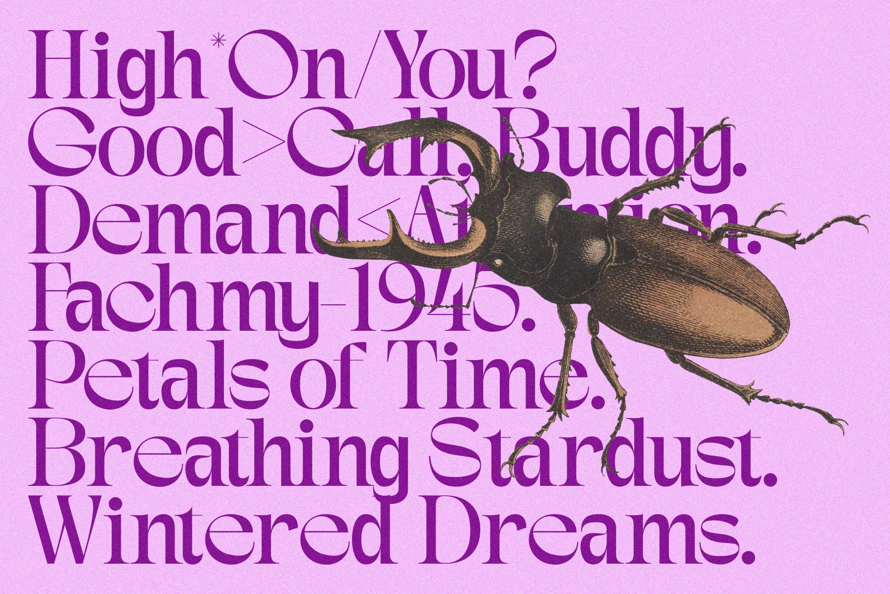 Gagen - Modern Editorial Serif Font