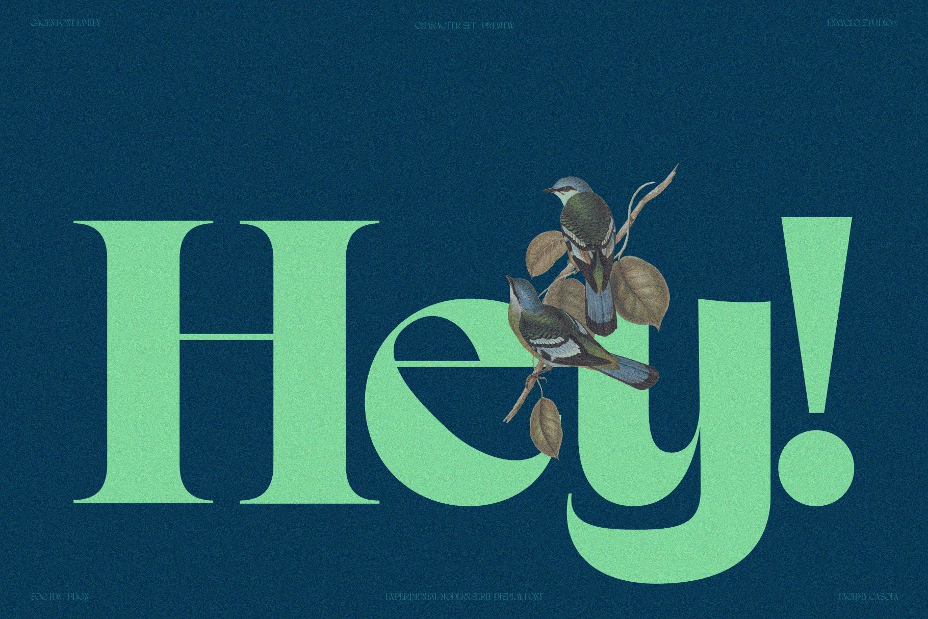 Gagen - Modern Editorial Serif Font