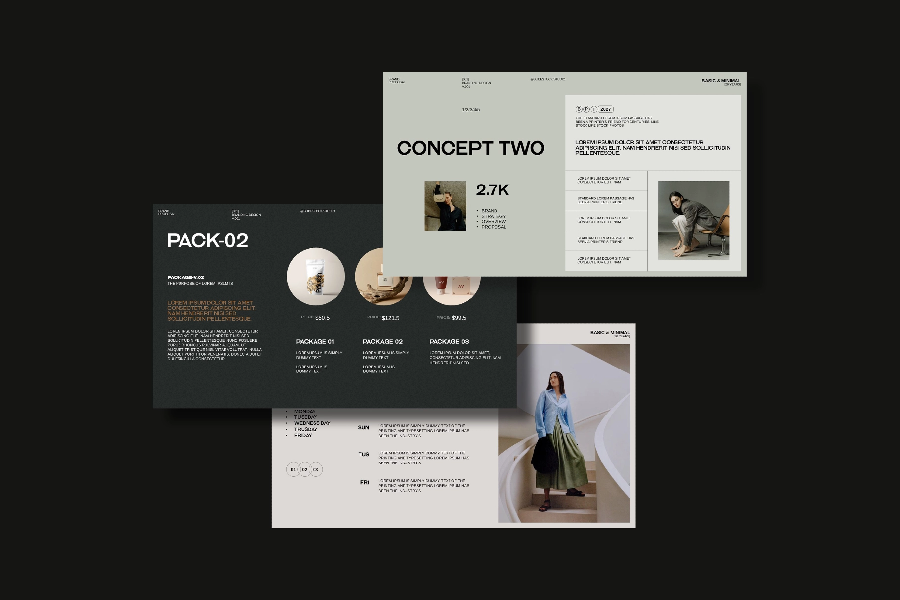 Aesthetic Brand Proposal Presentation Template