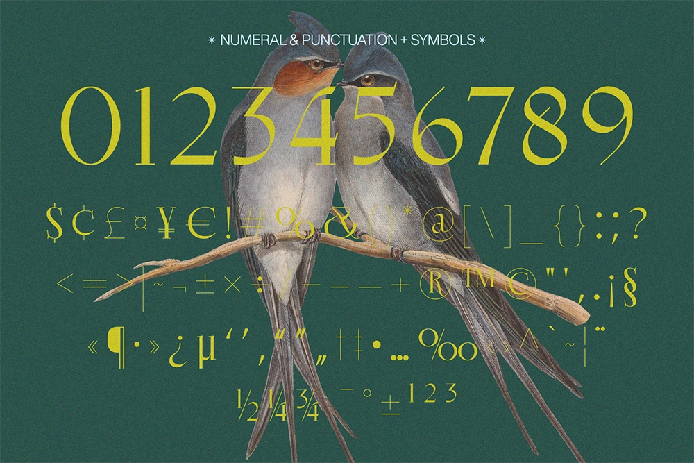 Ekgiero - Luxury Serif Font