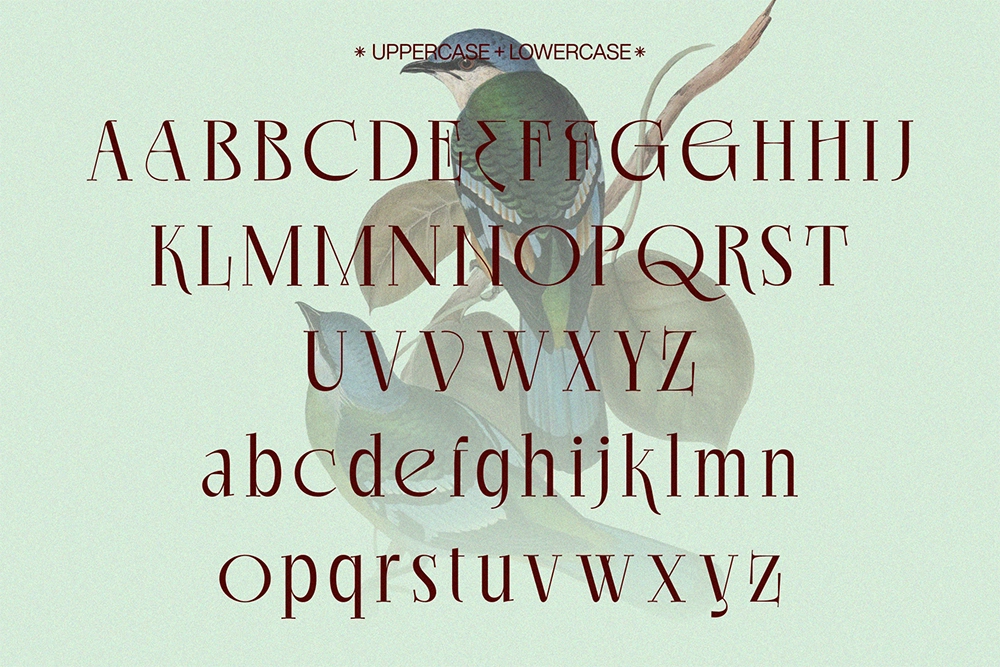 Ekgiero - Luxury Serif Font