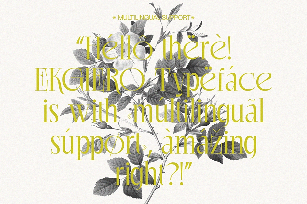 Ekgiero - Luxury Serif Font