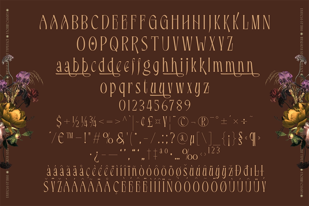 Wrigskan - Elegant Luxury Serif Typeface