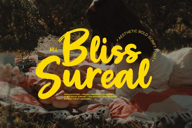 Bliss Sureal - Bold Brush Script Font