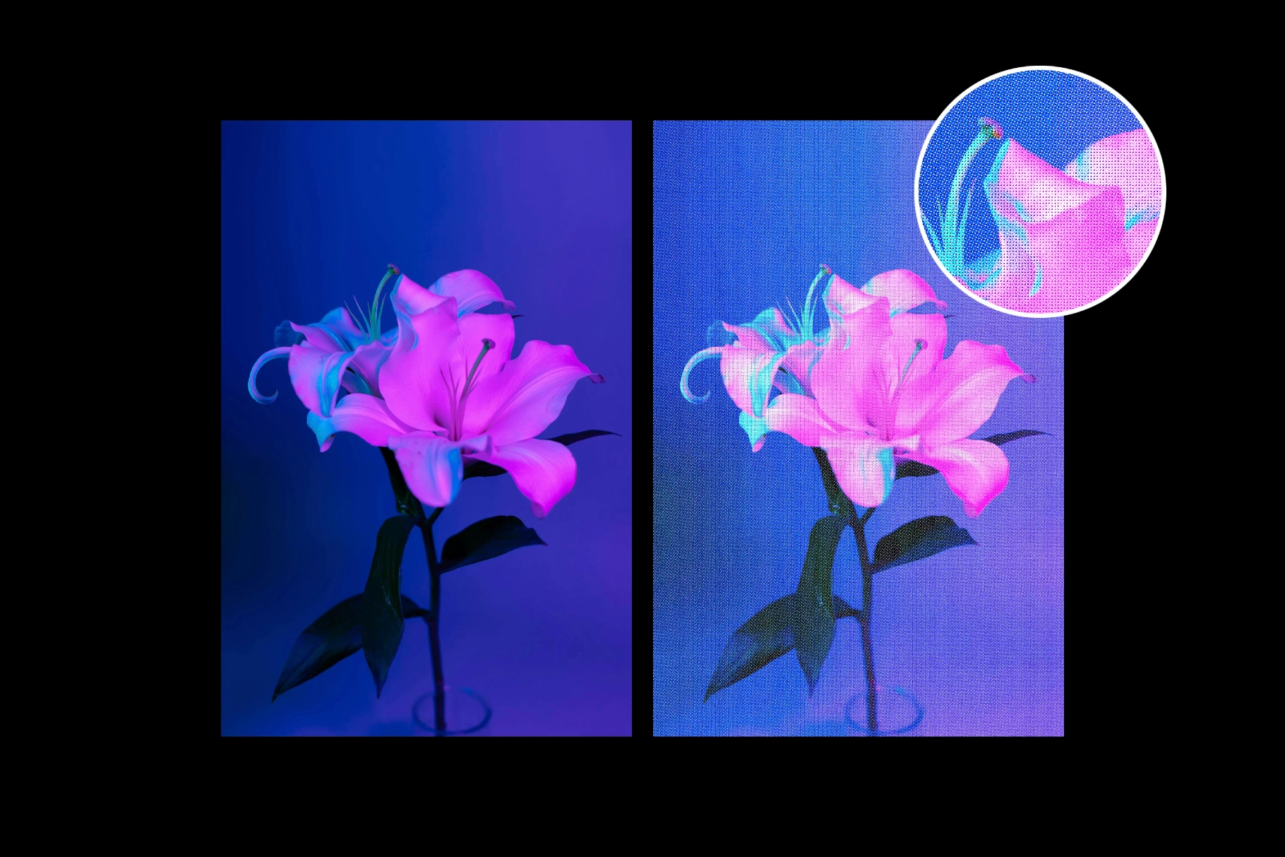 Gray Halftone Textures