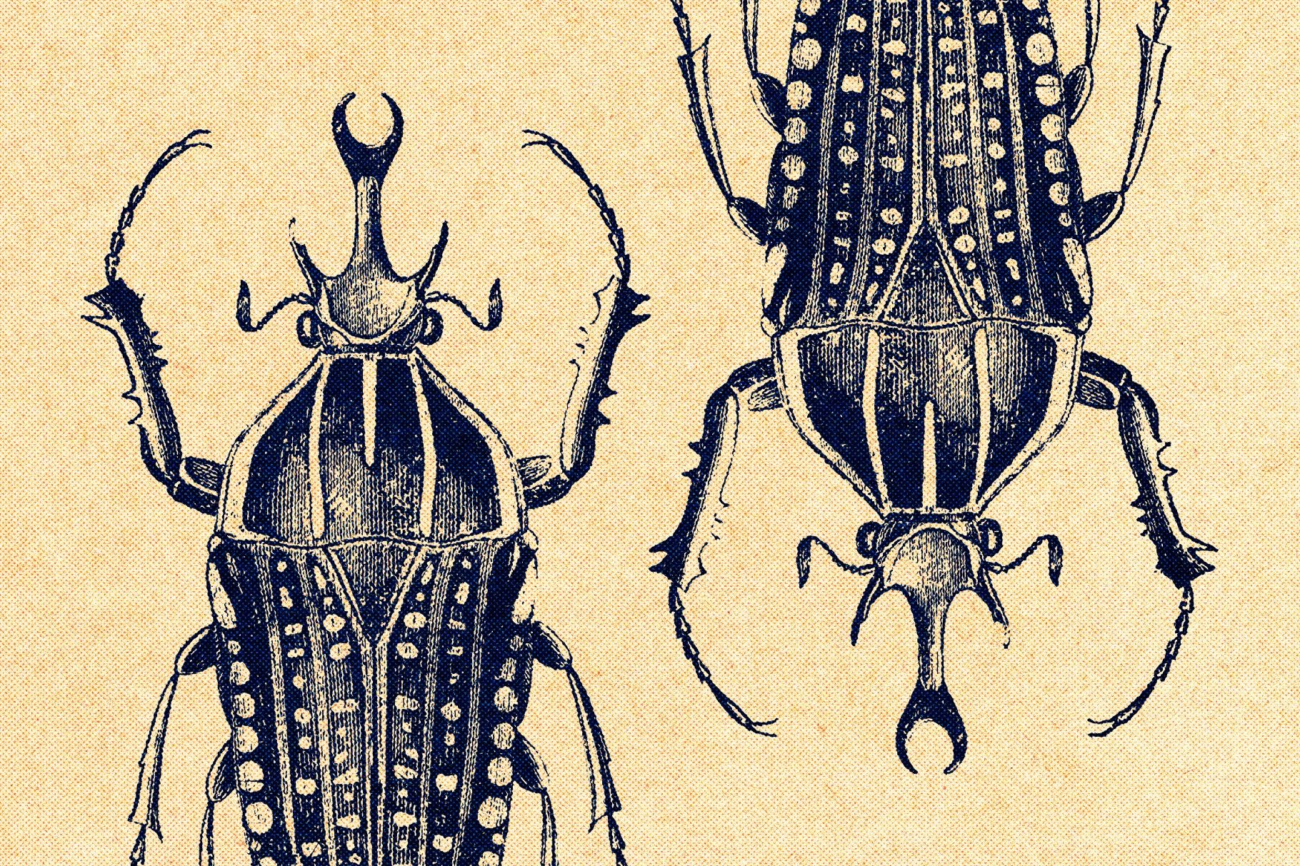 Vintage Halftone Print Effect