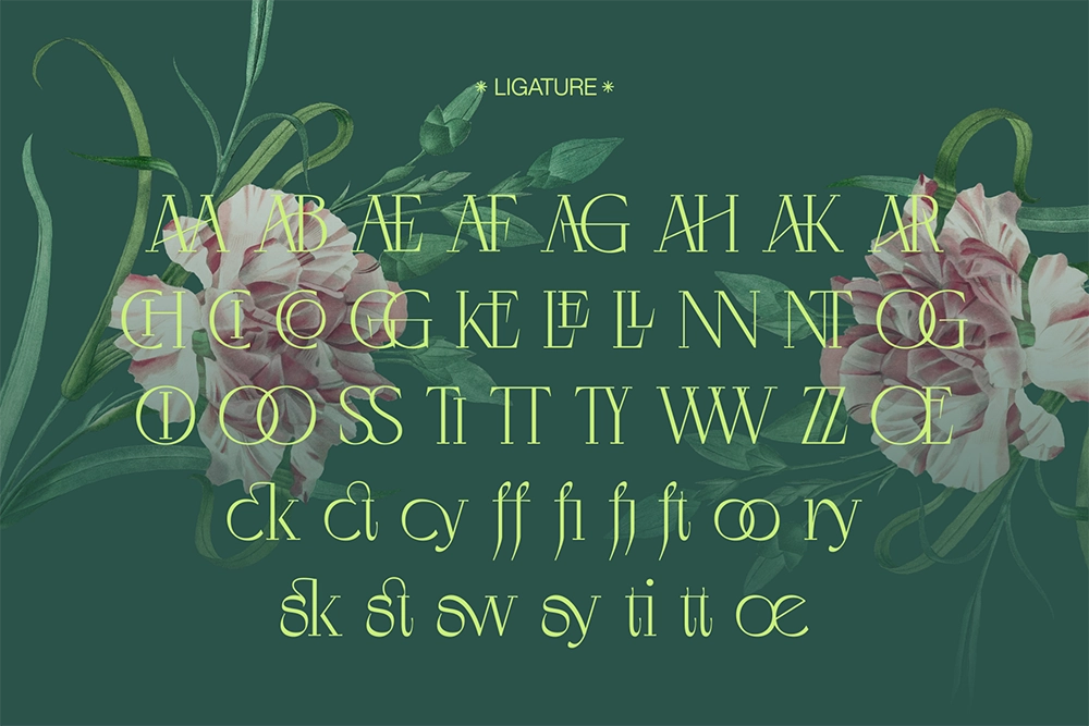 Negkomis - Luxury Fashion Serif Font