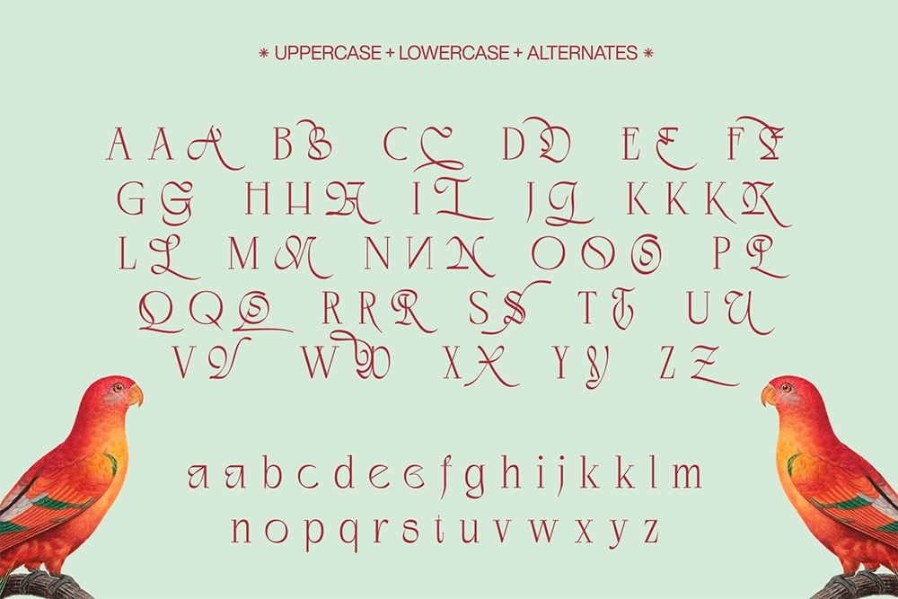 Negkomis - Luxury Fashion Serif Font