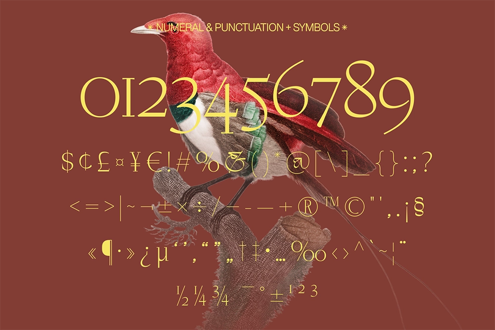 Negkomis - Luxury Fashion Serif Font