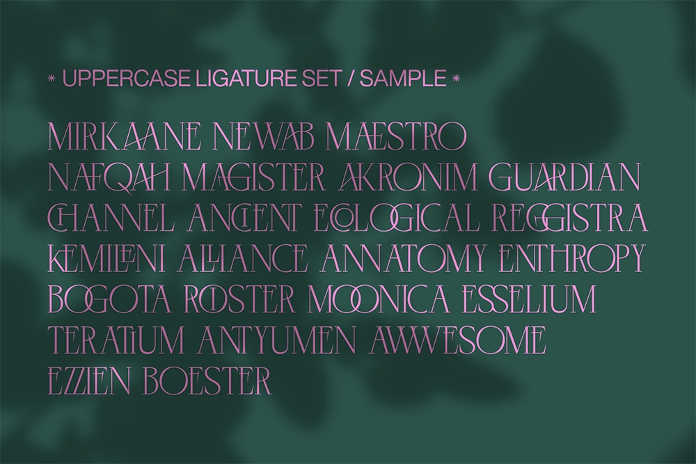 Negkomis - Luxury Fashion Serif Font