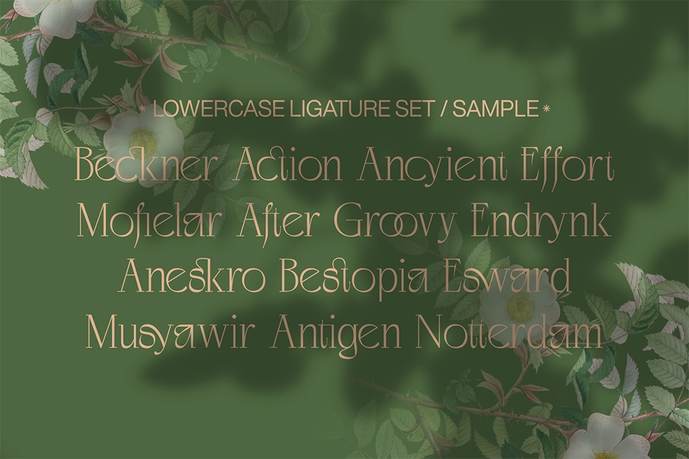 Negkomis - Luxury Fashion Serif Font