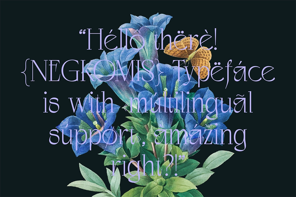 Negkomis - Luxury Fashion Serif Font