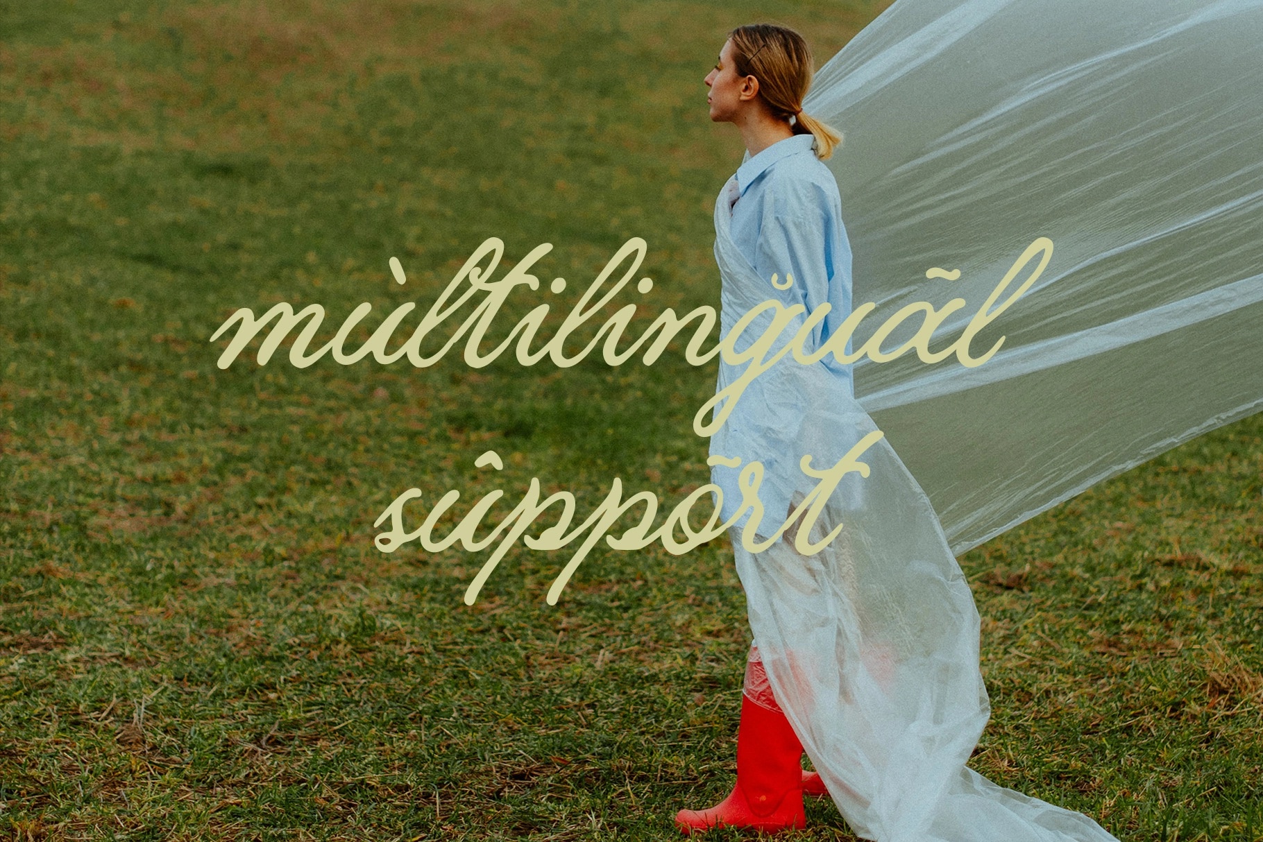 Wicky Bejari - Elegant Signature Script Font