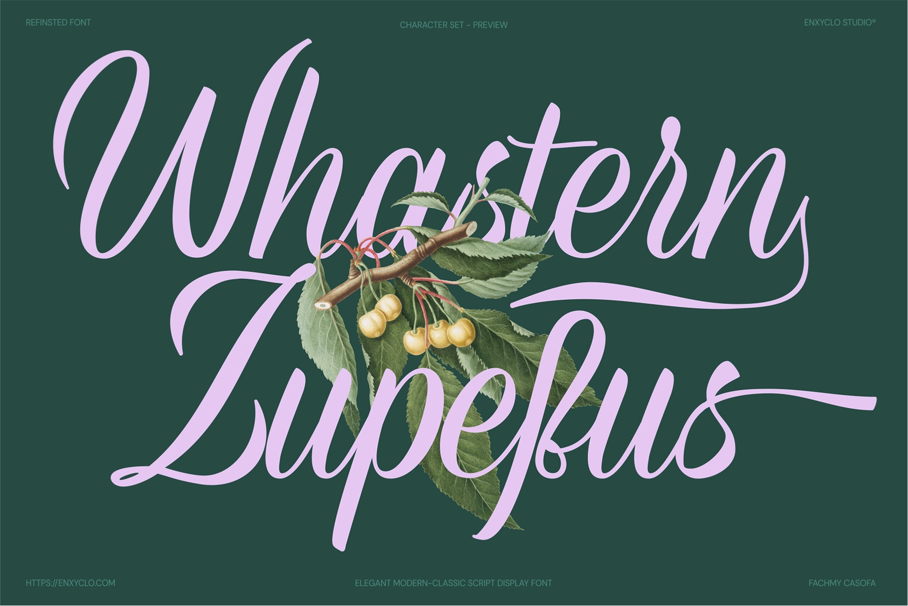 Refinsted - Modern Calligraphy Script Font