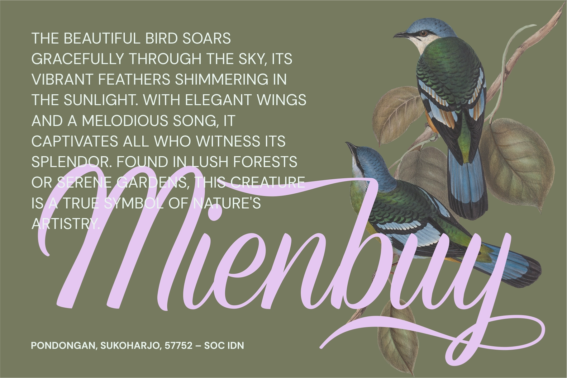 Refinsted - Modern Calligraphy Script Font