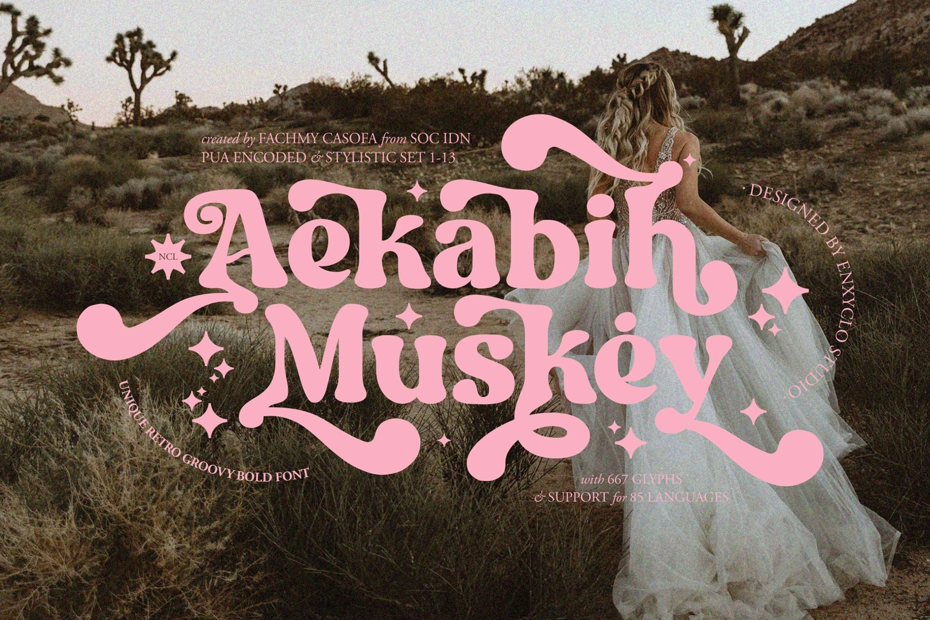 Aekabih Muskey - Whimsical Vintage Serif Font
