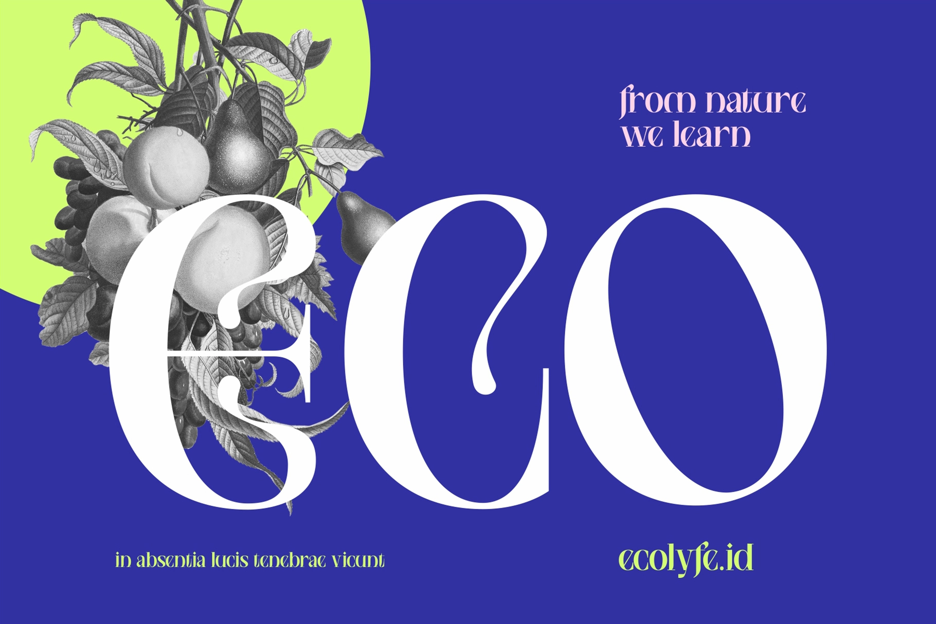 Saigefy Cebahixa - Elegant Modern Serif Font