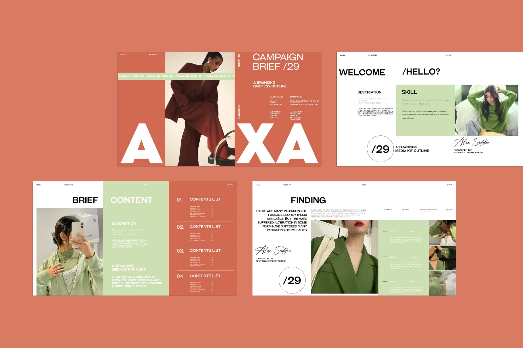 Alexa Campaign Brief /29 Presentation Template