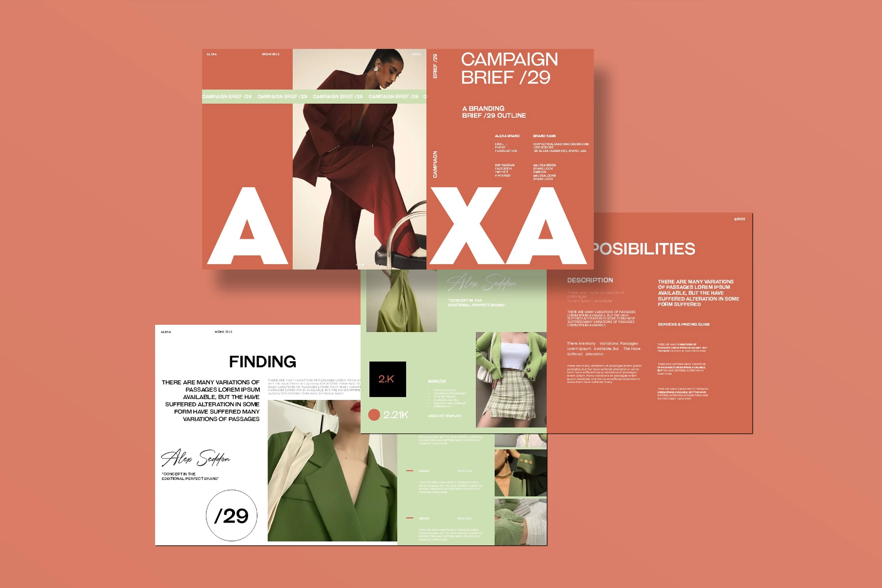 Alexa Campaign Brief /29 Presentation Template