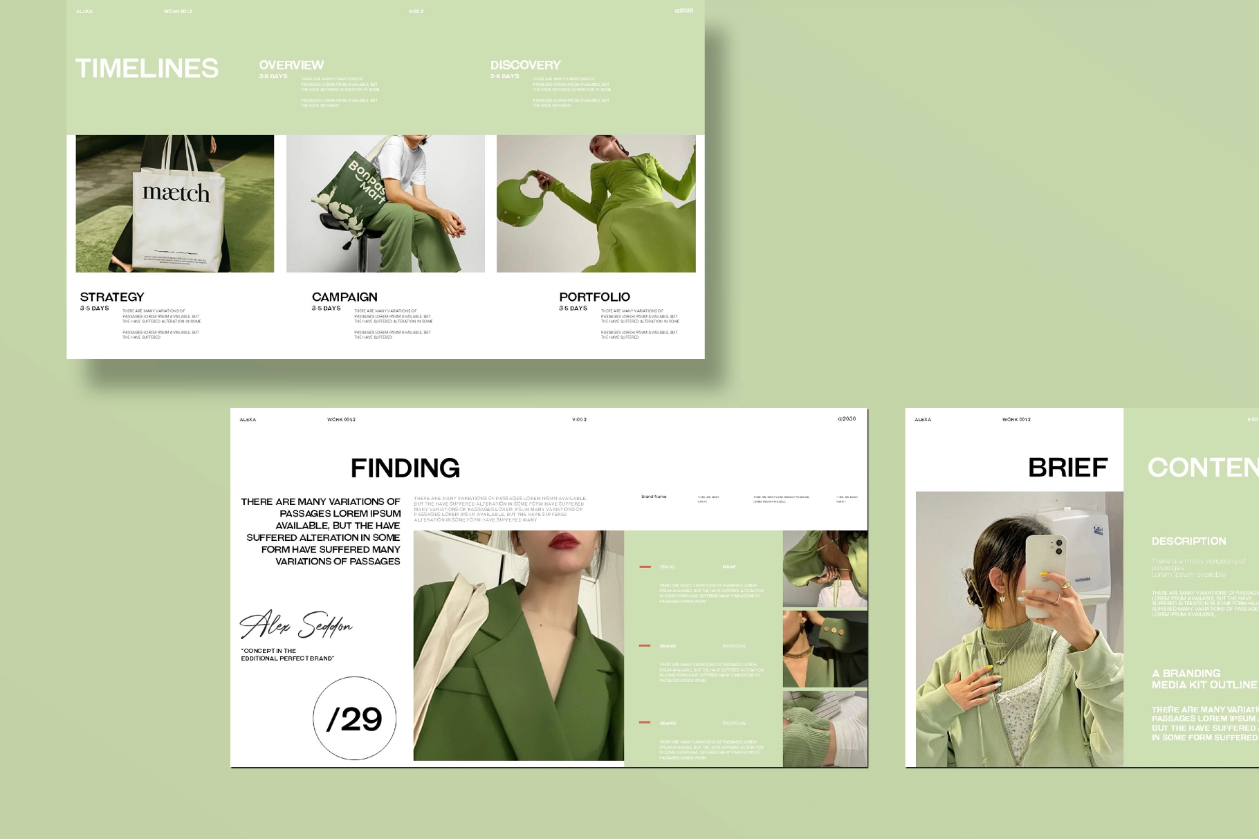 Alexa Campaign Brief /29 Presentation Template