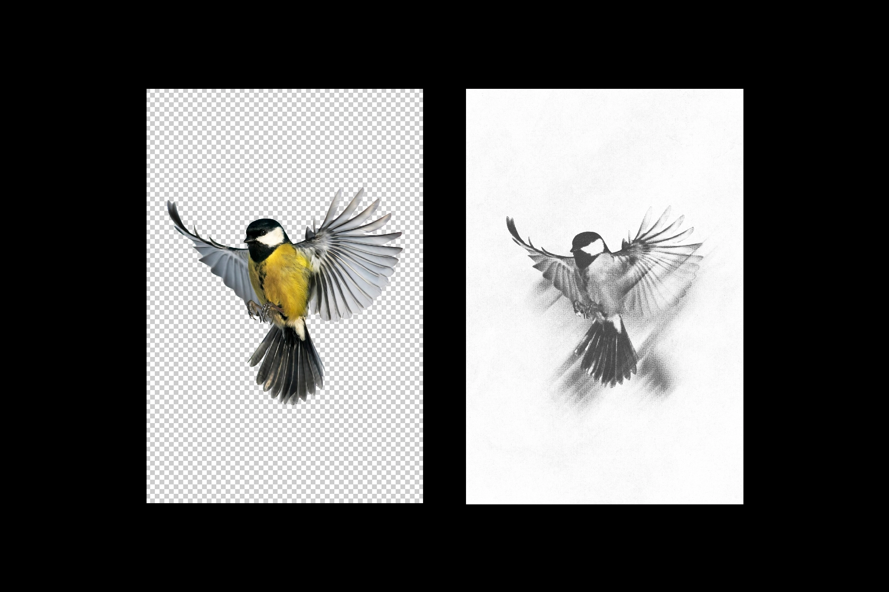 Halftone Motion Photo Effect