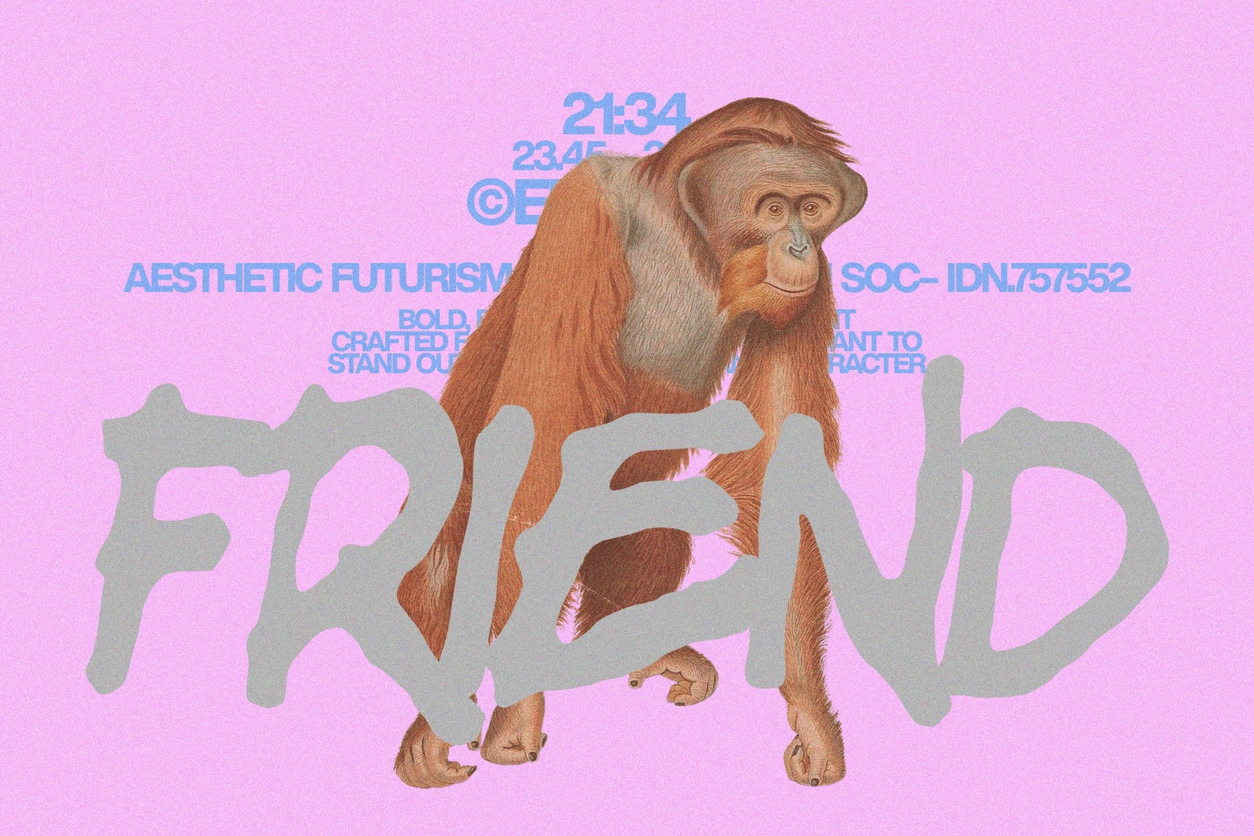 Rownie - Bold Expressive Brush Font