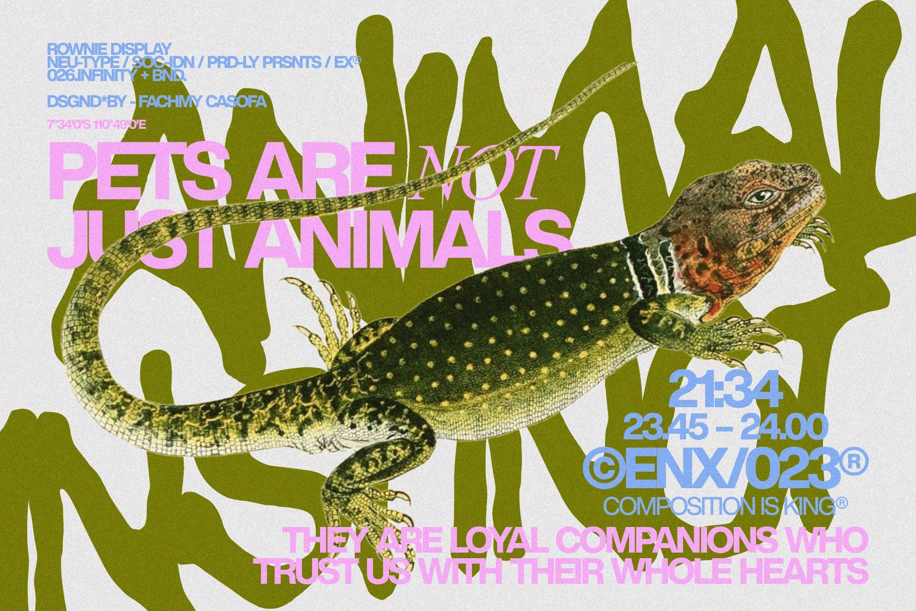 Rownie - Bold Expressive Brush Font