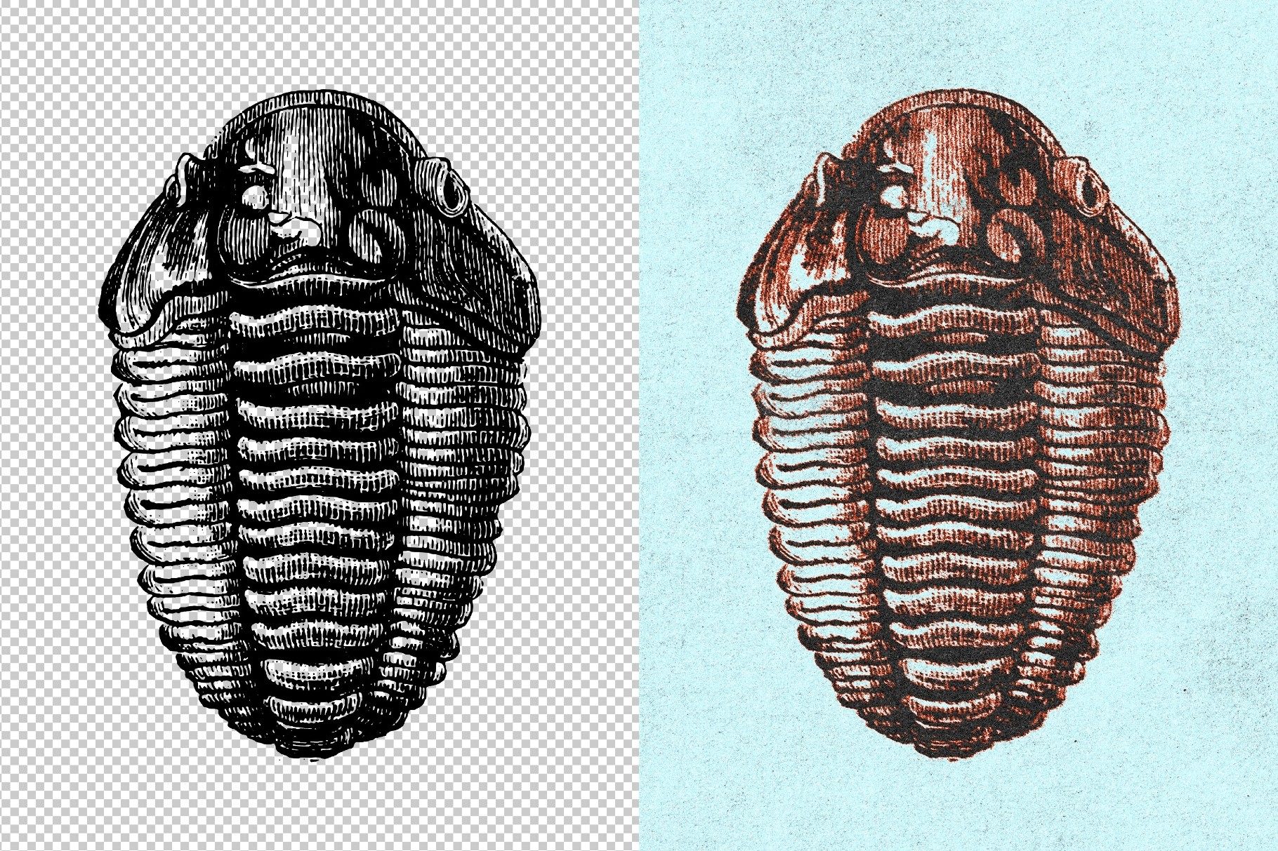 Vintage Print Effect